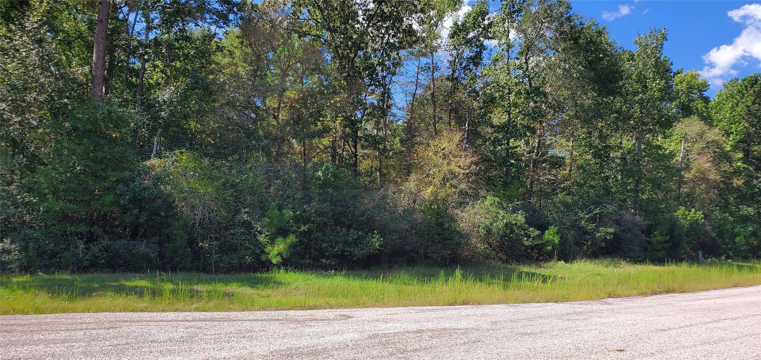 Huntsville, TX 77340,TBD Cougar court CT