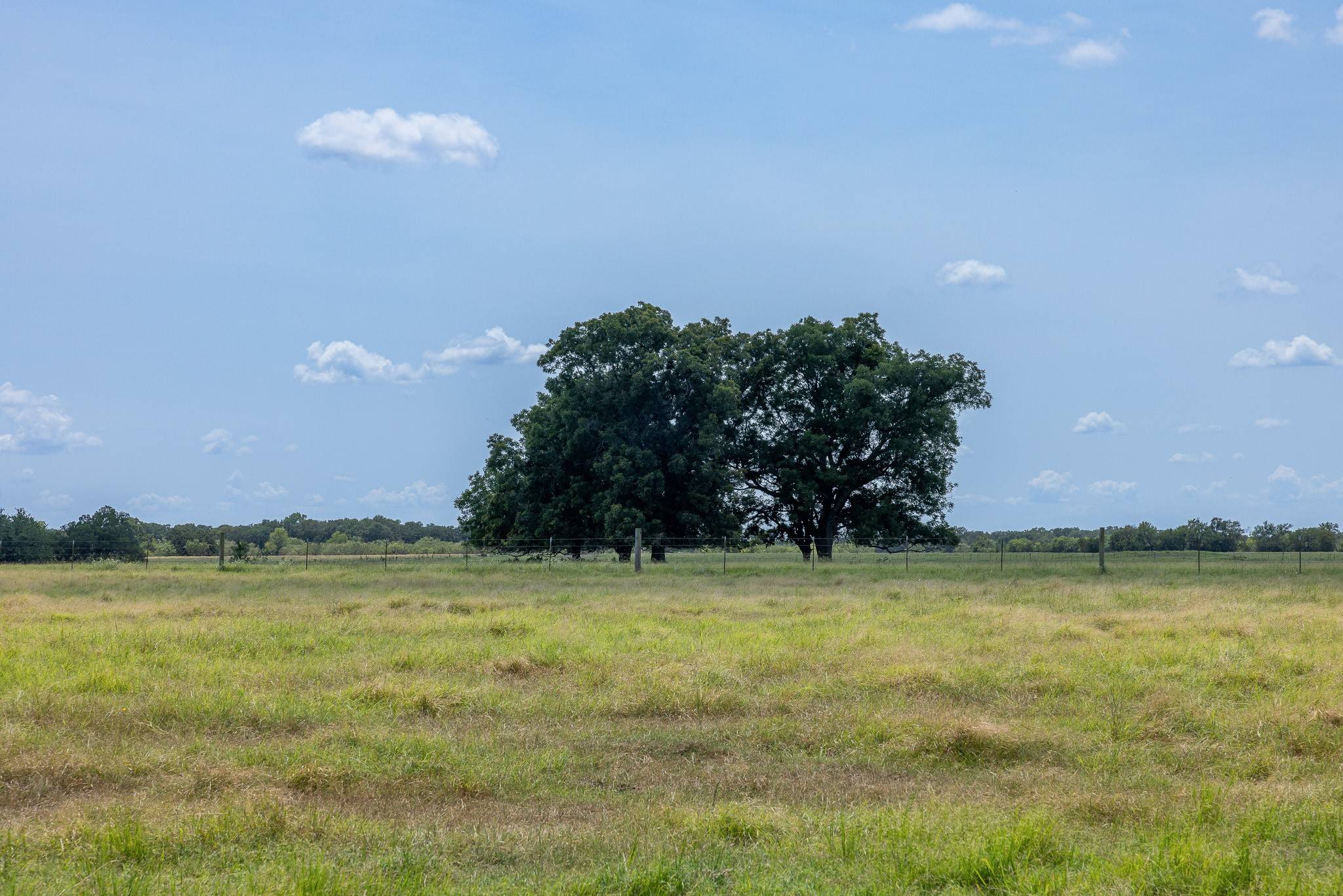 Marlin, TX 76661,206.53 AC County Road 138
