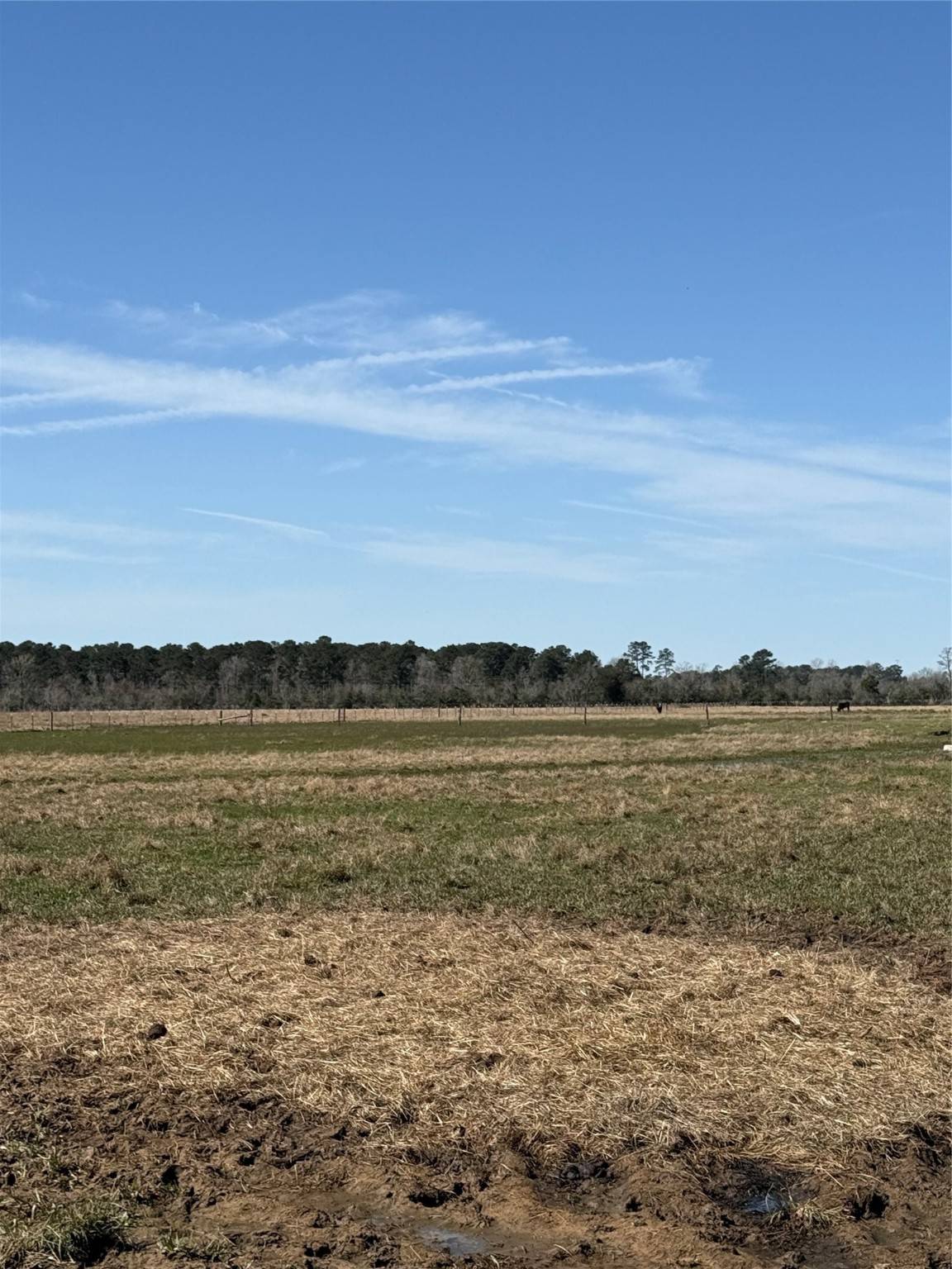 Cleveland, TX 77327,905 County Road 2285