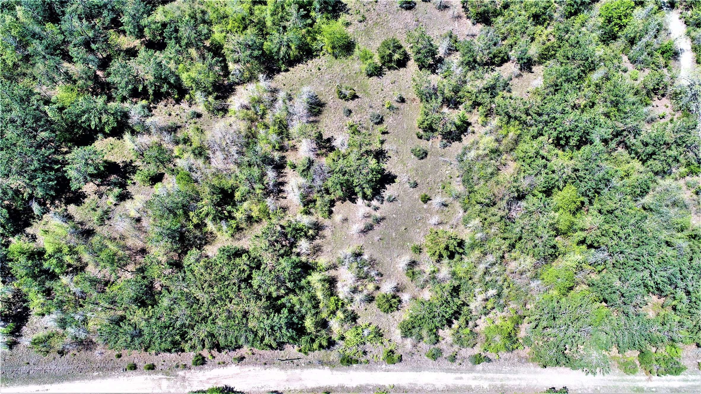 Pennington, TX 75856,TBD PR 8008