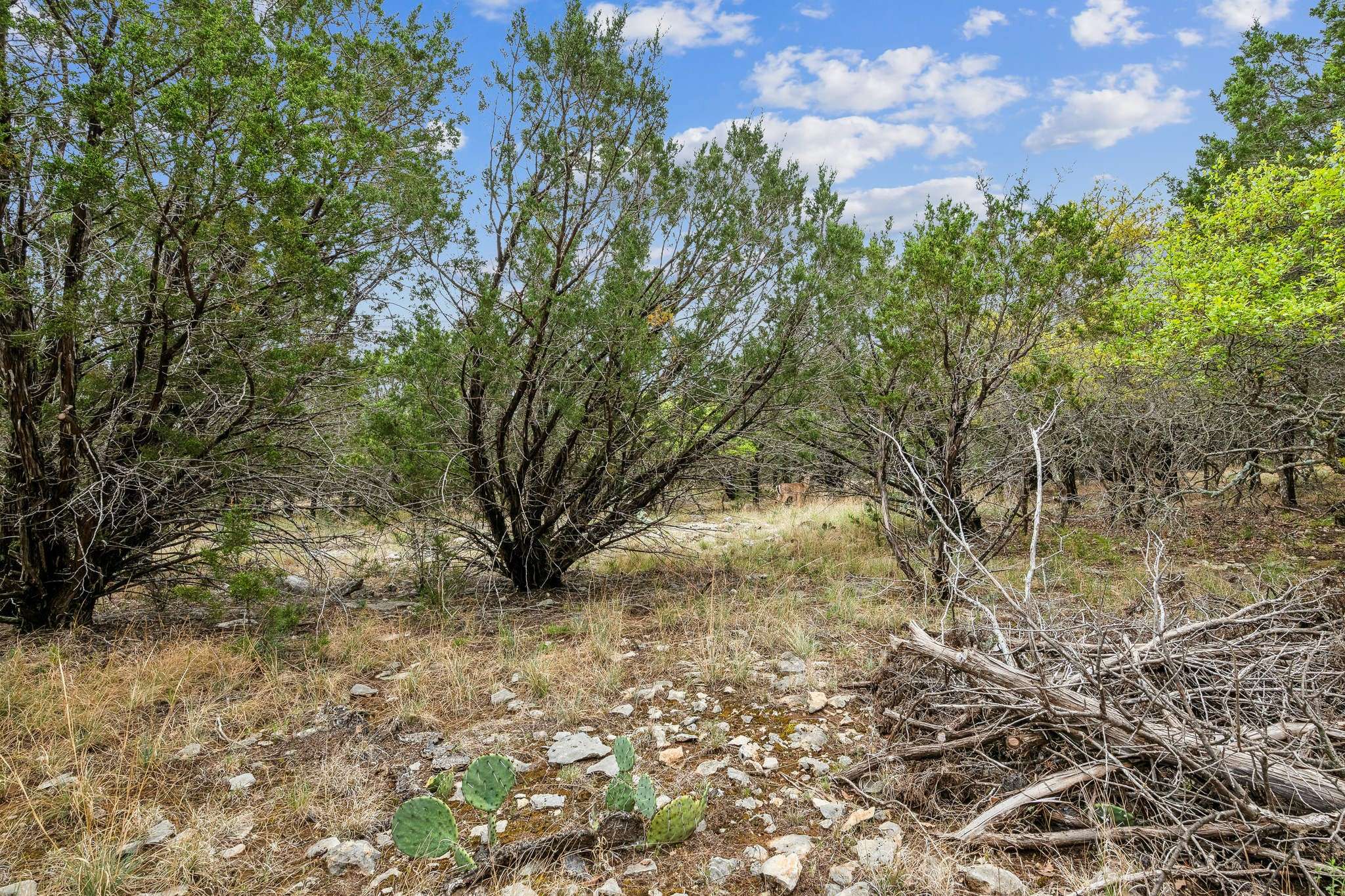 Graford, TX 76449,Lot 52 Carnoustie DR