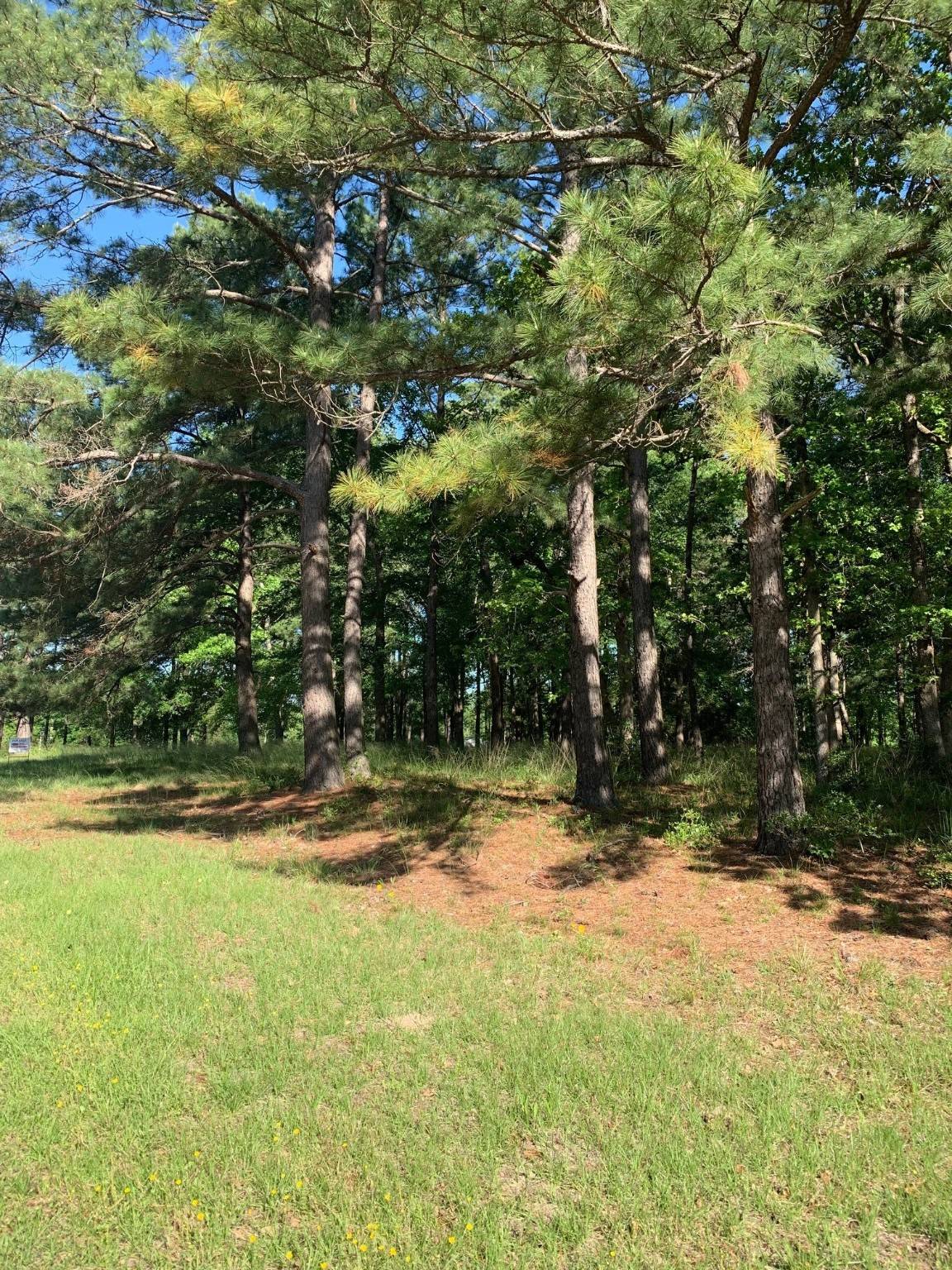 Huntsville, TX 77340,TBD Oak Creek DR
