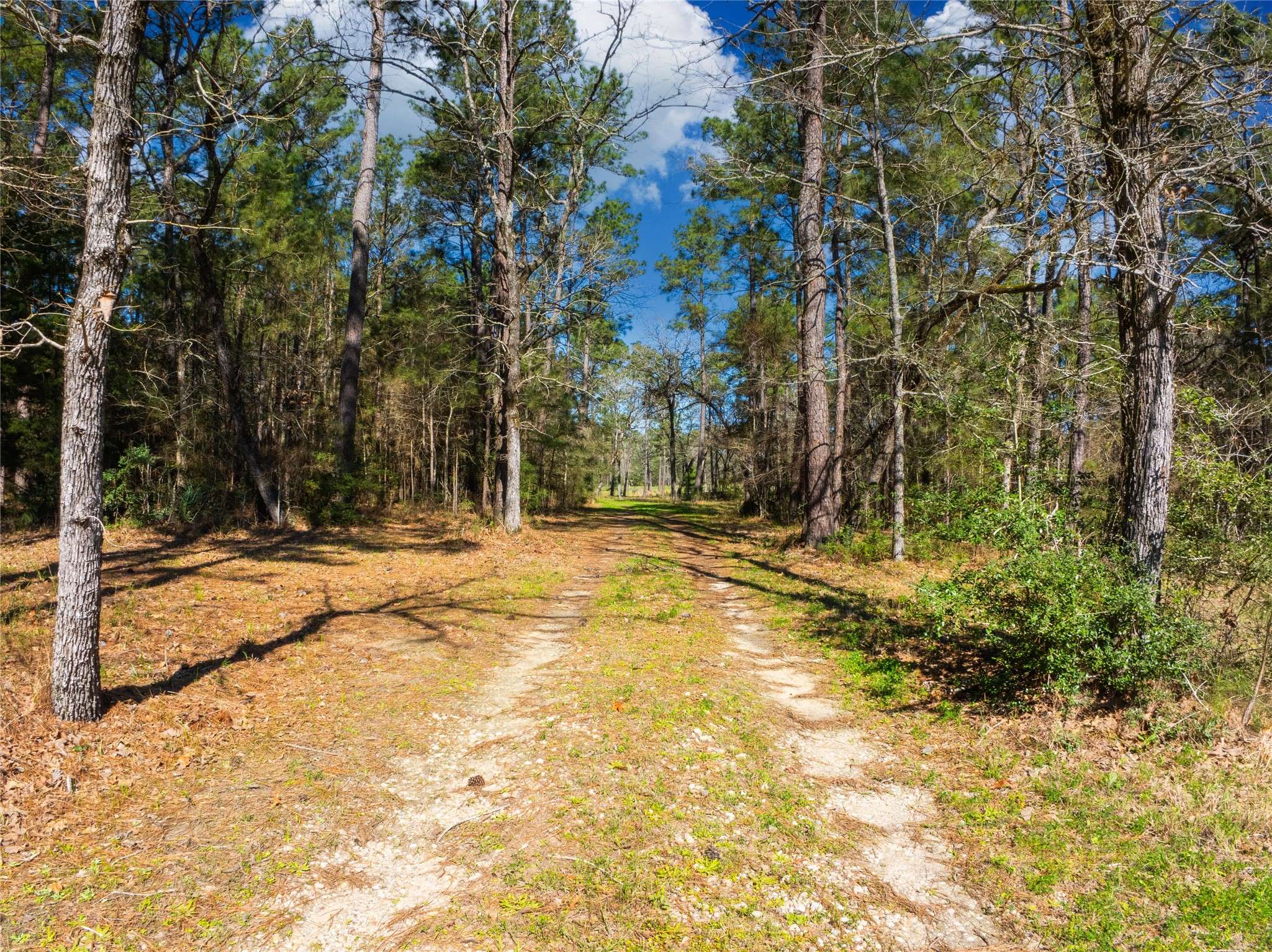 Anderson, TX 77830,9191 Amelia DR