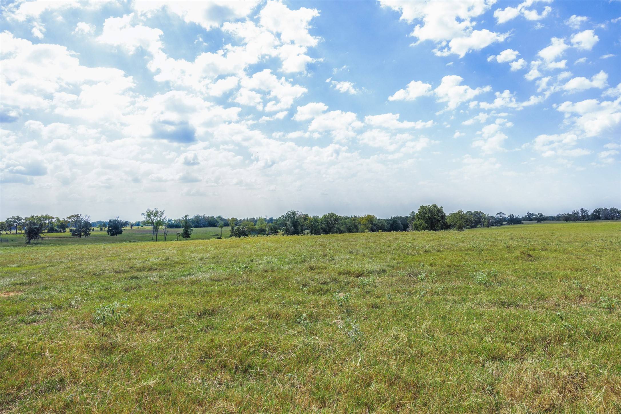 Franklin, TX 77856,Tract 3 Rolke Ranch RD