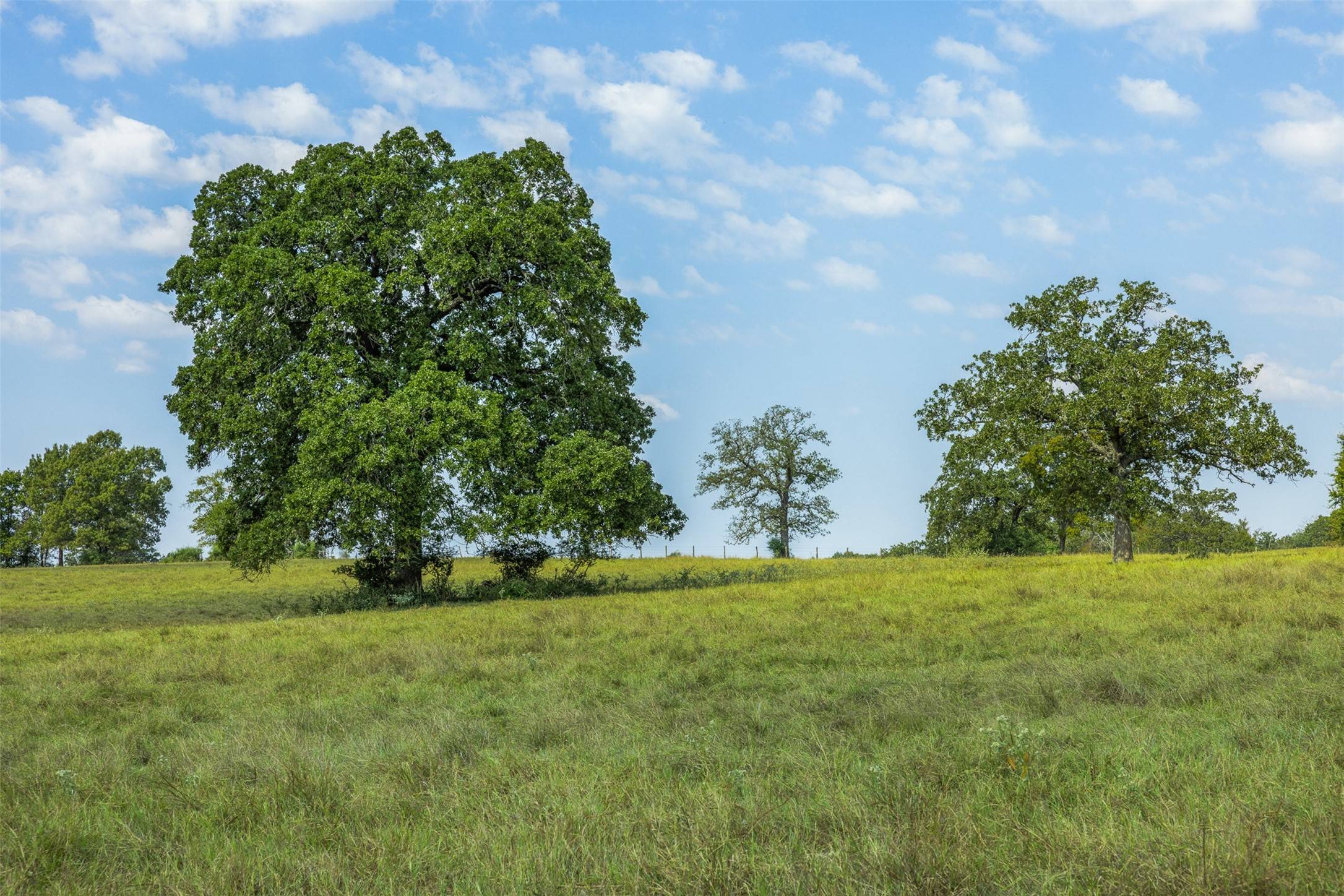 Franklin, TX 77856,Tract 3 Rolke Ranch RD