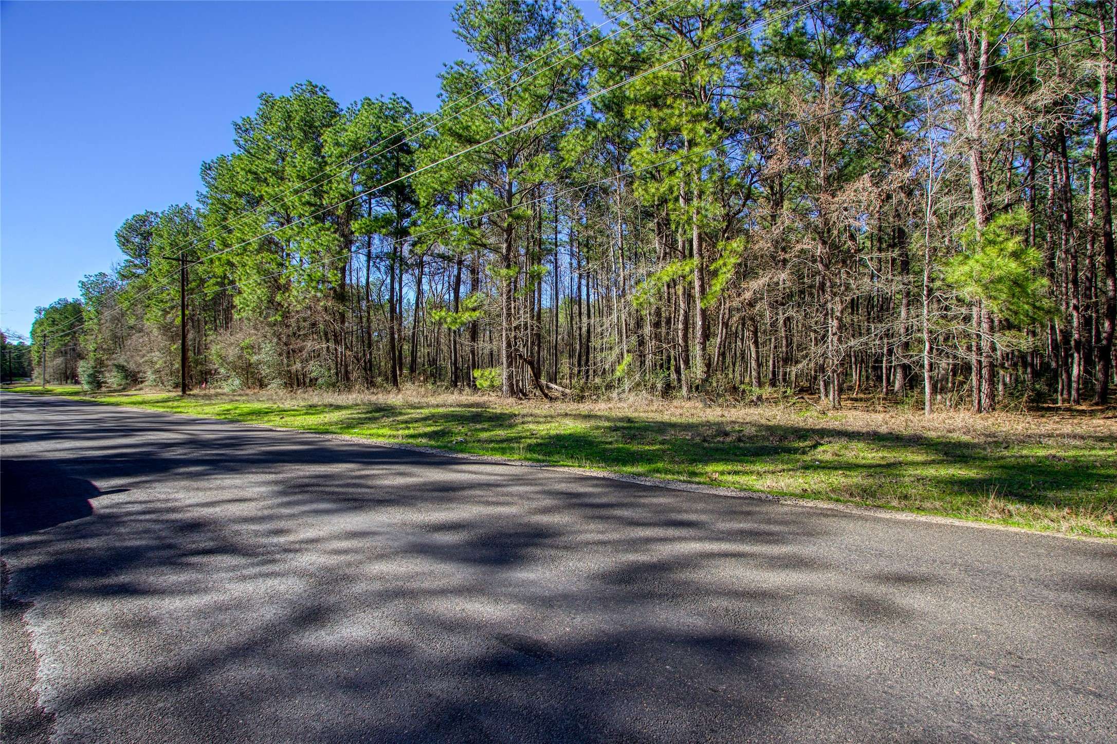Plantersville, TX 77363,TBD Clark RD