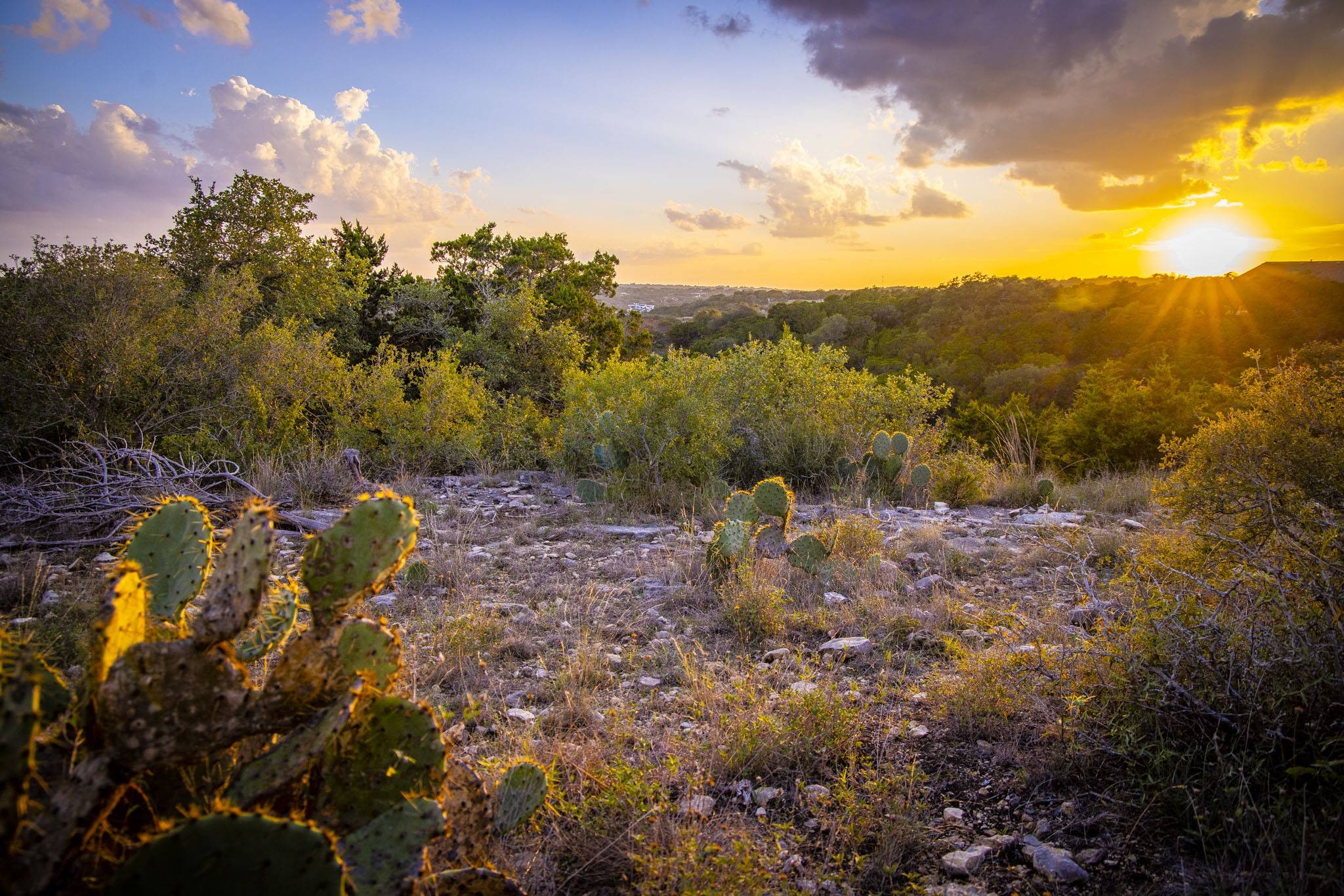 New Braunfels, TX 78132,1031 Axis Trail