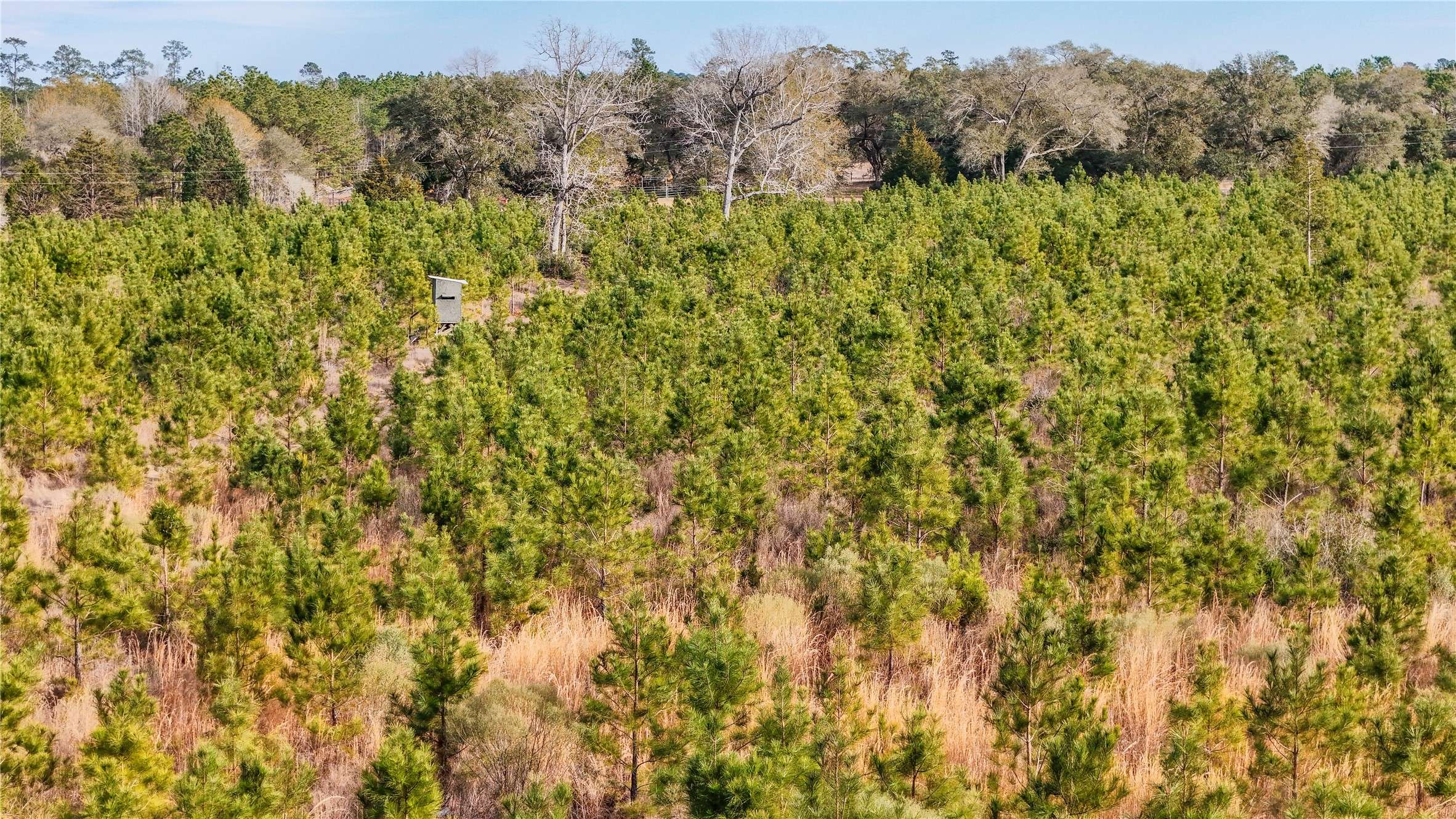 Warren, TX 77664,TBD County Road 1450