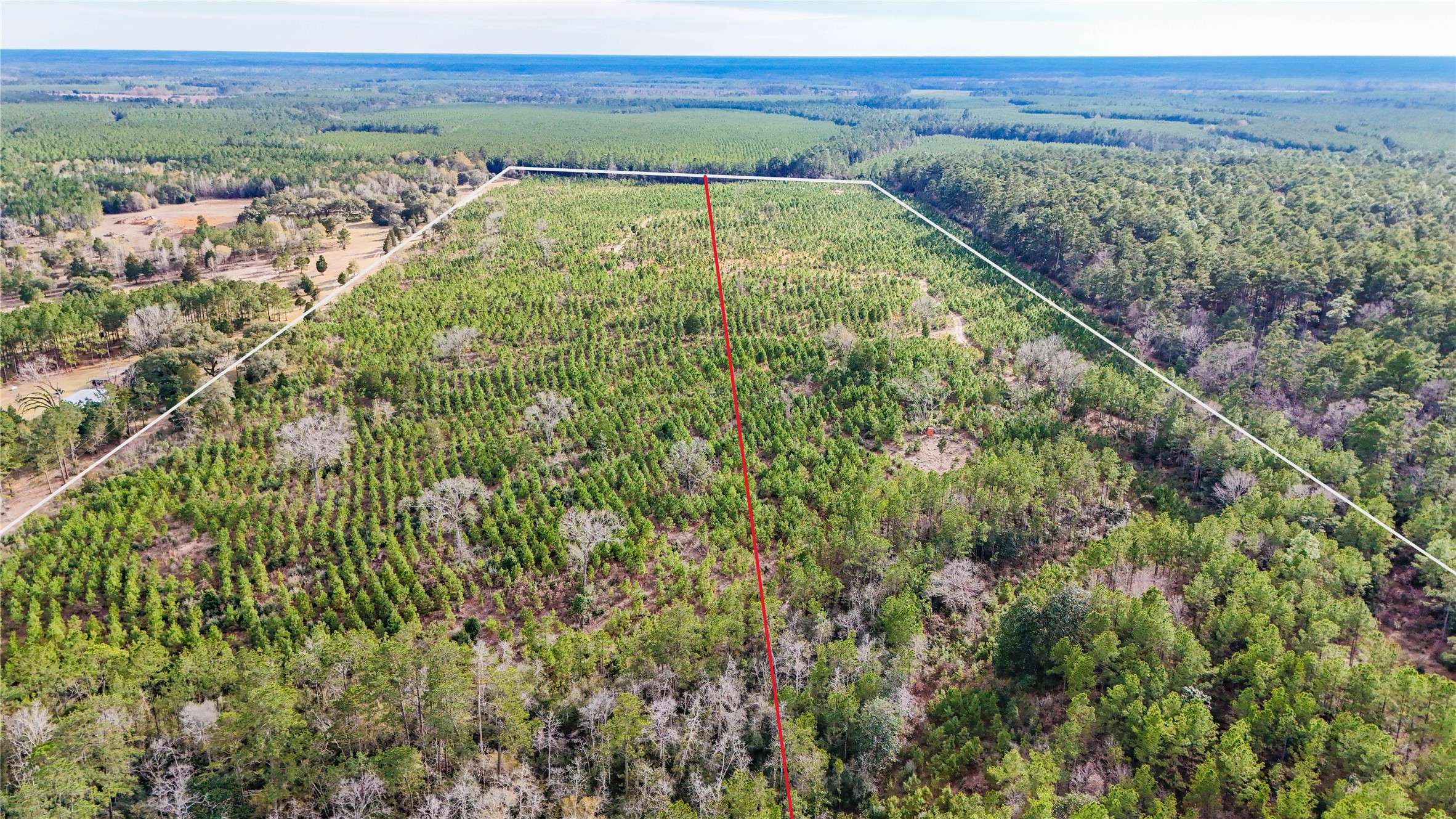 Warren, TX 77664,TBD County Road 1450
