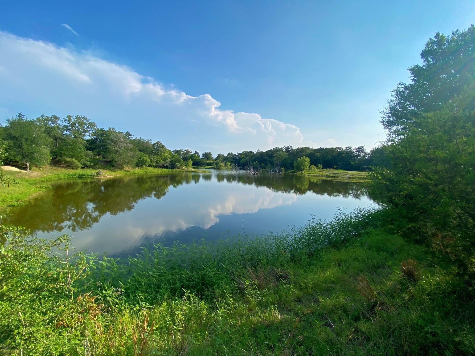 Burton, TX 77835,7800 Farm to Market 1948 RD W