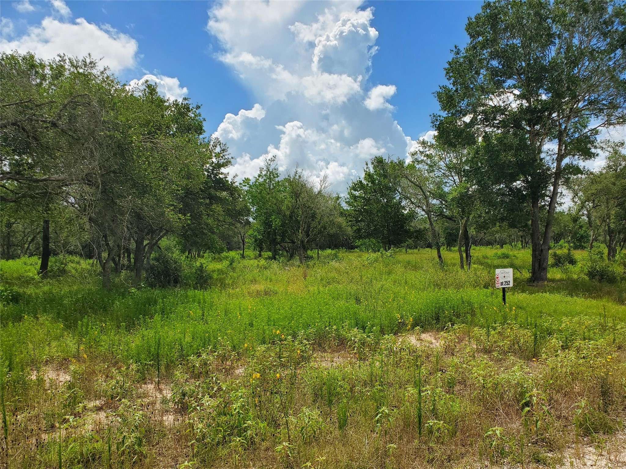 Columbus, TX 78934,TBD Specklebelly Lane Lot 252