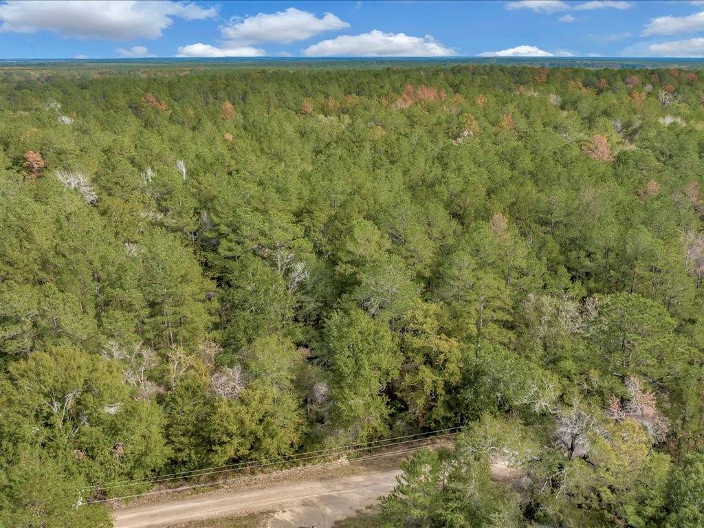 Lovelady, TX 75851,1TBD CR 3555