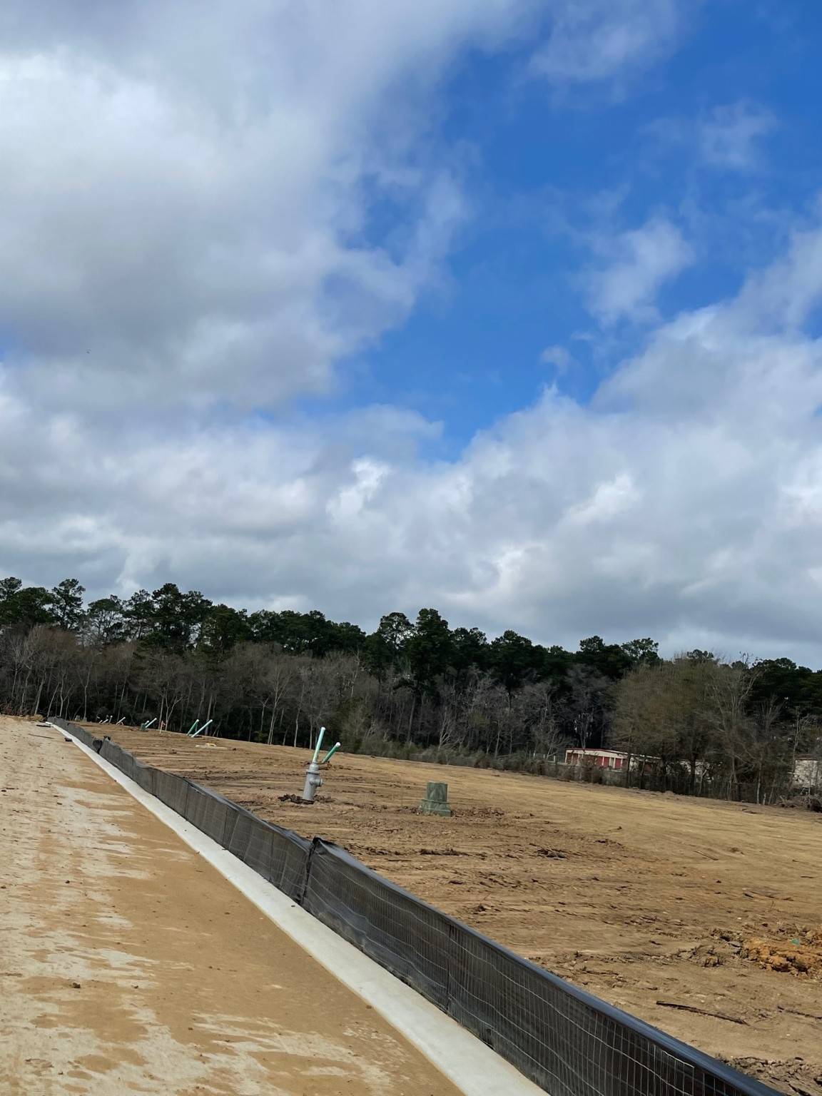 Willis, TX 77318,11741 Ruffian DR