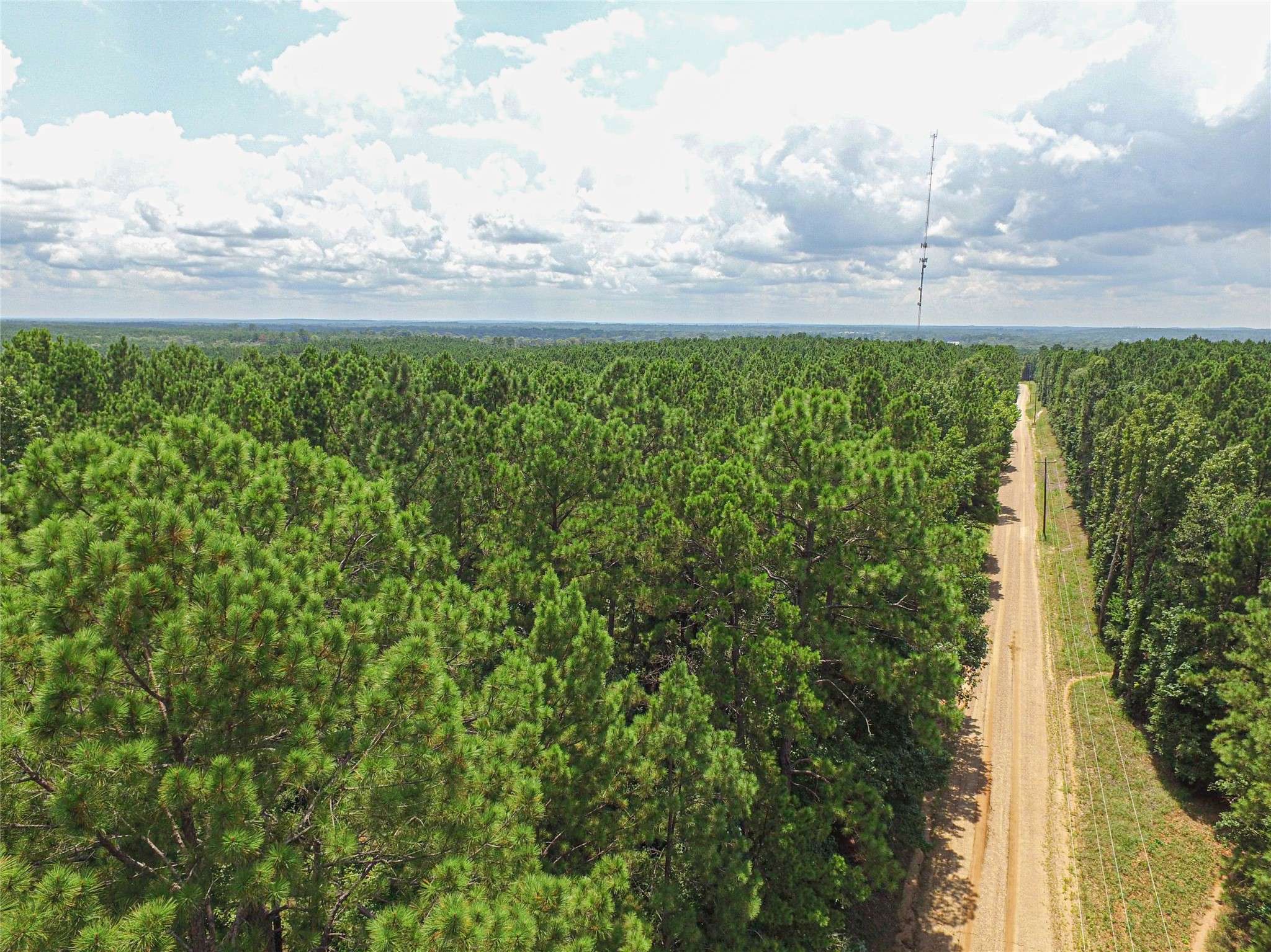 Corrigan, TX 75939,TBD Hickman Rd