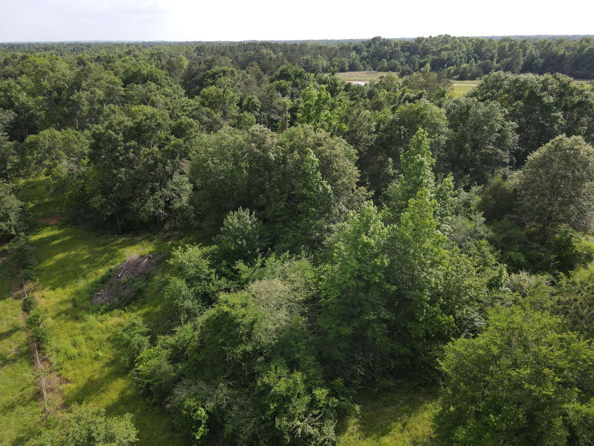 Leona, TX 75850,8029 Fm-977 E