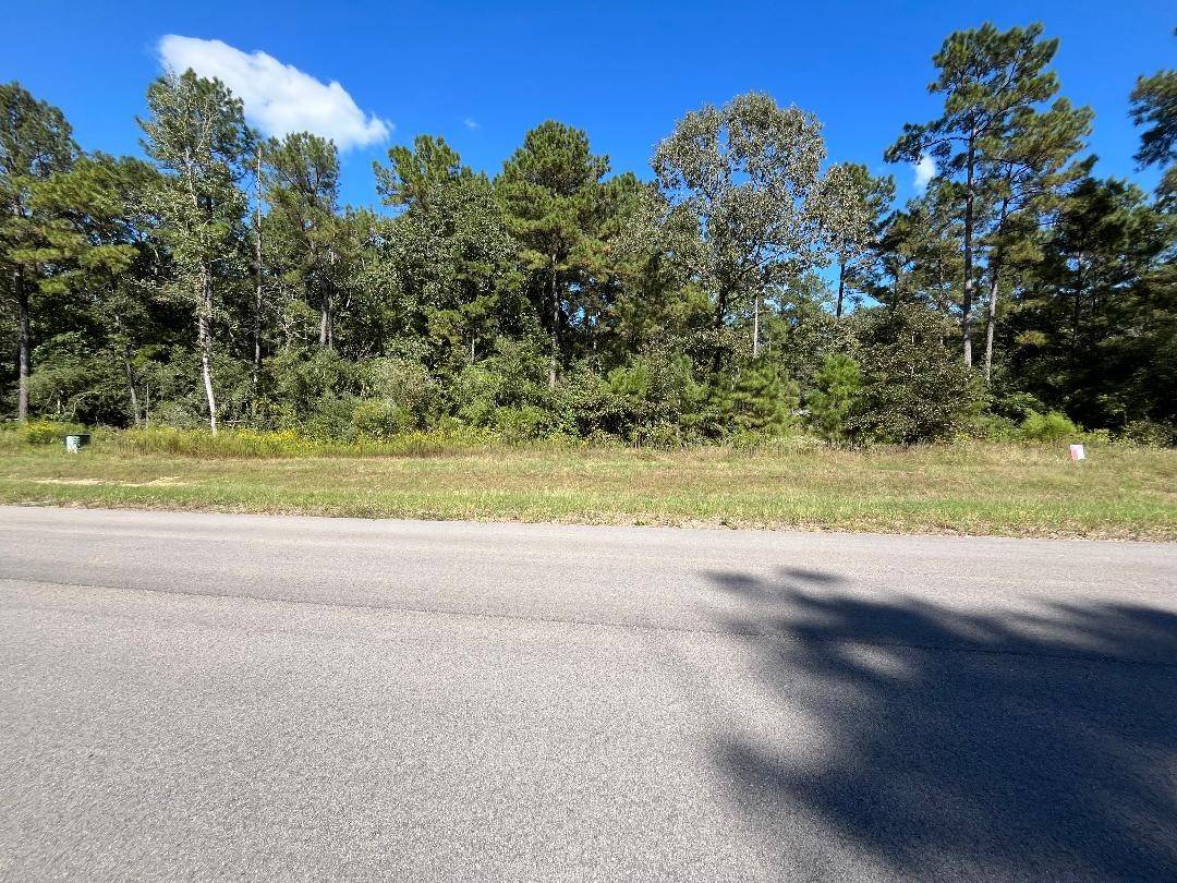Willis, TX 77378,16302 Golden Wood CT