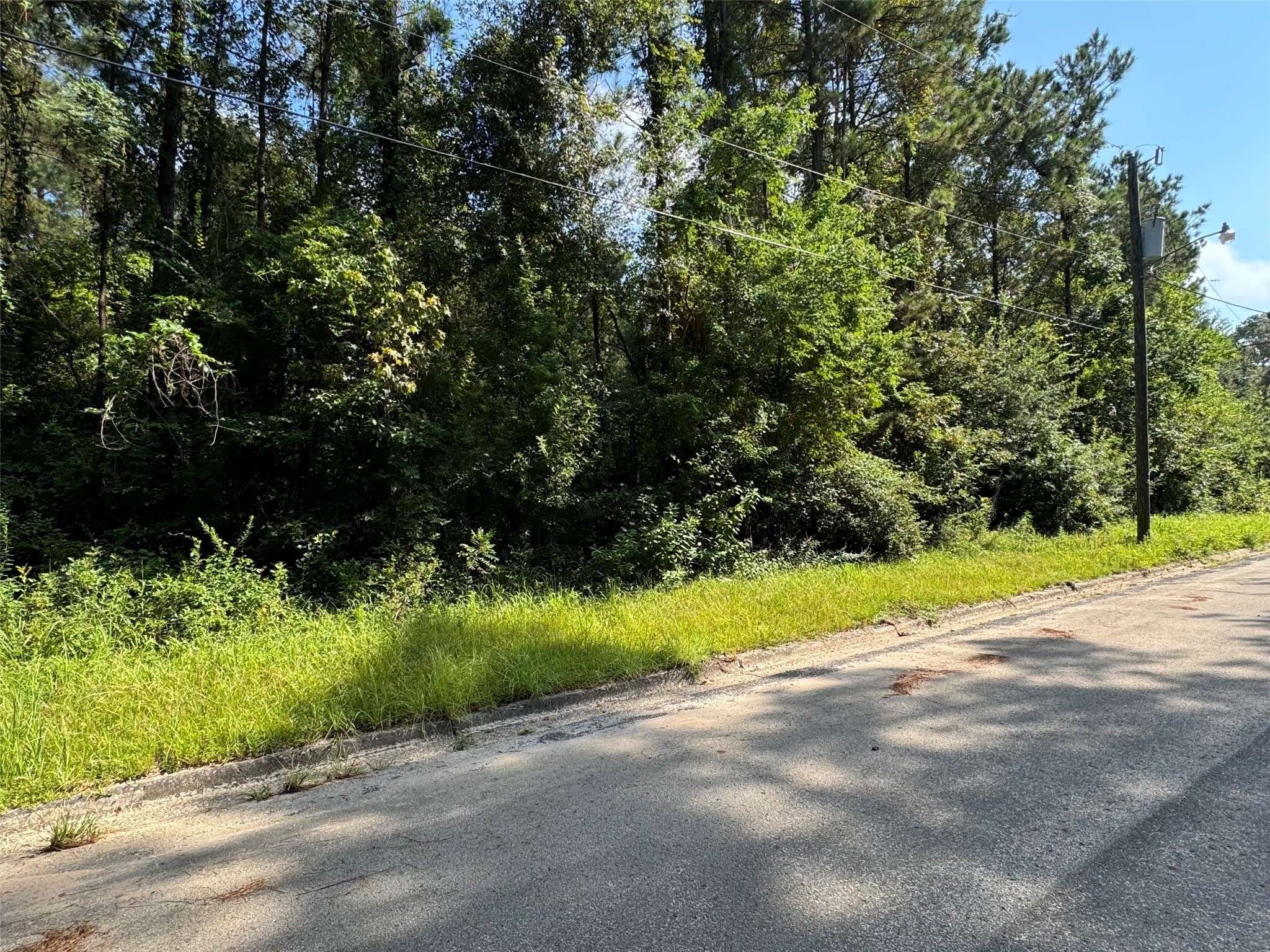 Splendora, TX 77372,00 Hickory Ln