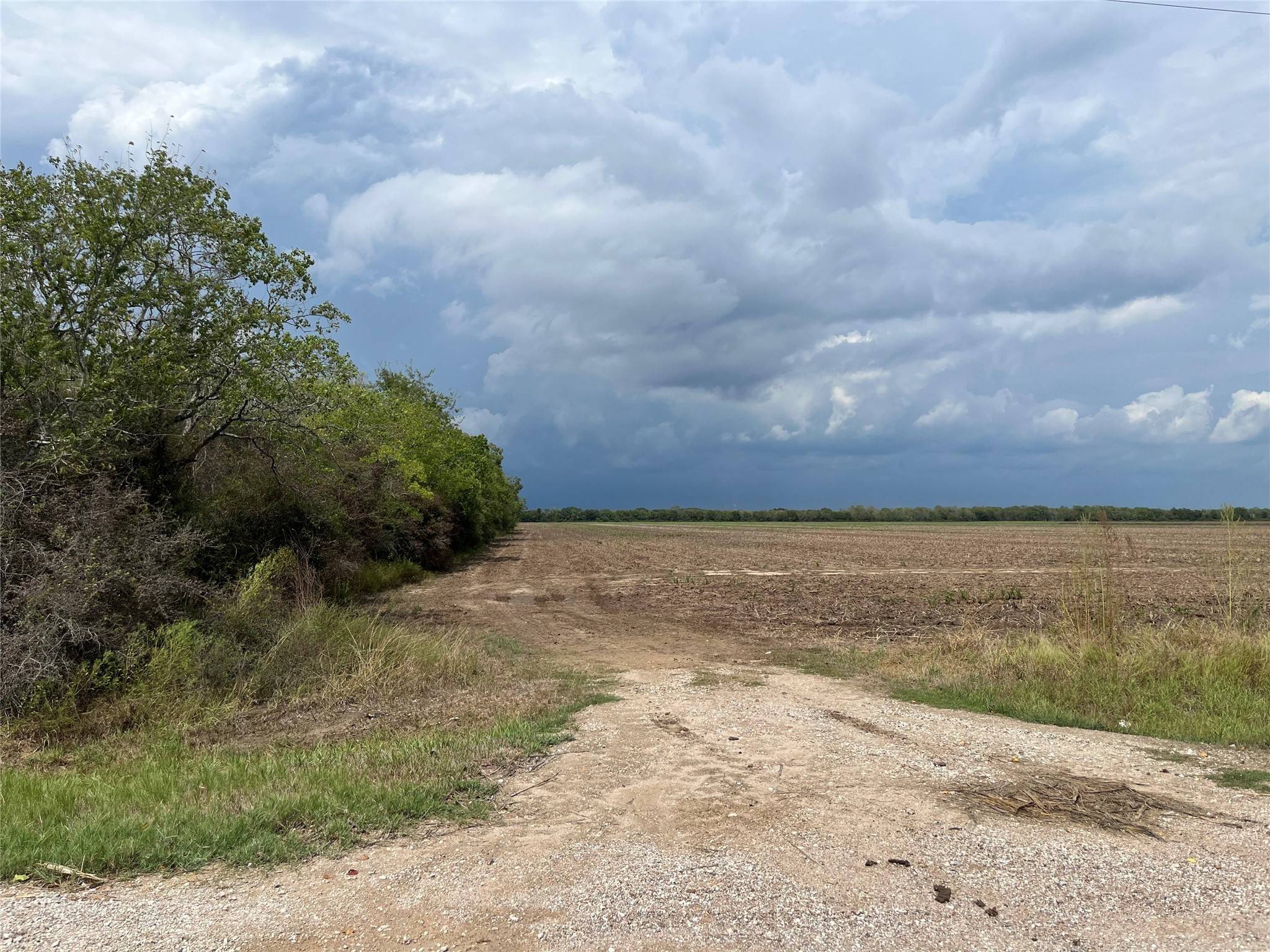 Needville, TX 77469,Tract 1 Beard RD