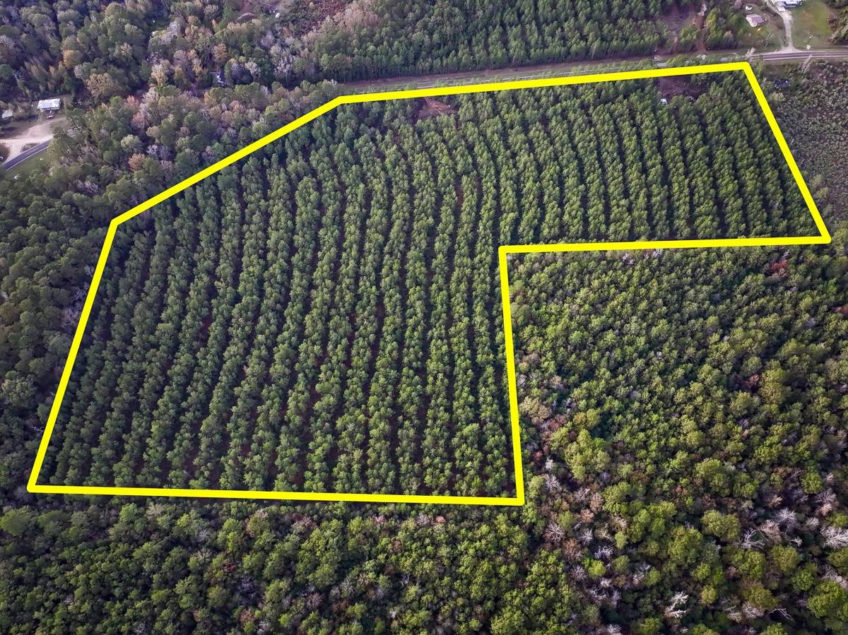 Newton, TX 75966,0 FM 1012