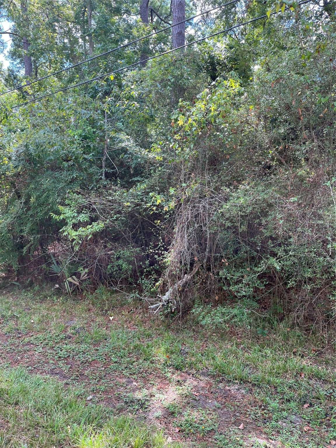 Crosby, TX 77532,0 Felscher LN