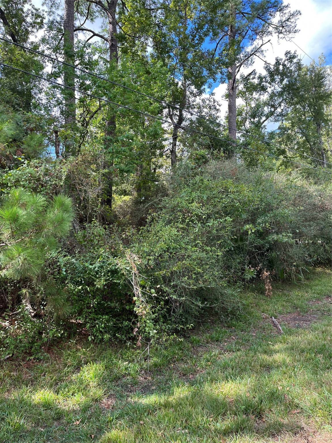 Crosby, TX 77532,0 Felscher LN