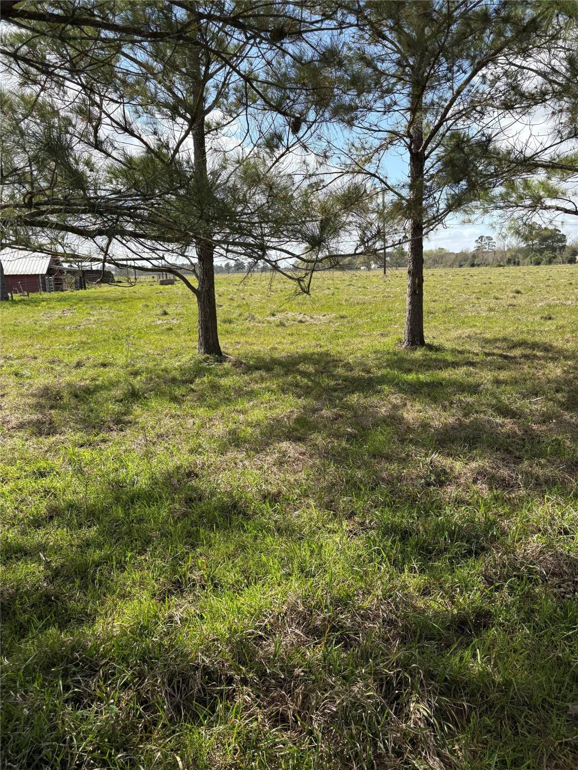 Beaumont, TX 77713,28161 W west US Hwy 90 HWY W