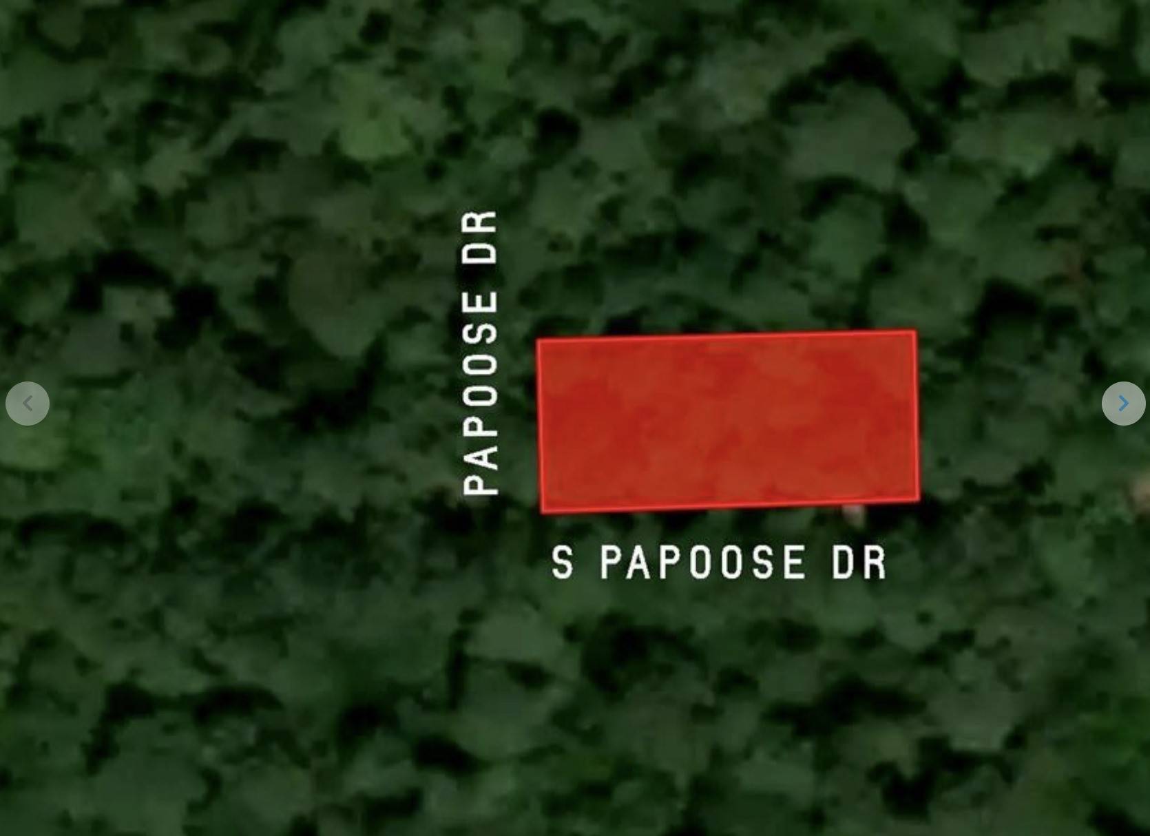 Hempstead, TX 77445,30810 Papoose DR