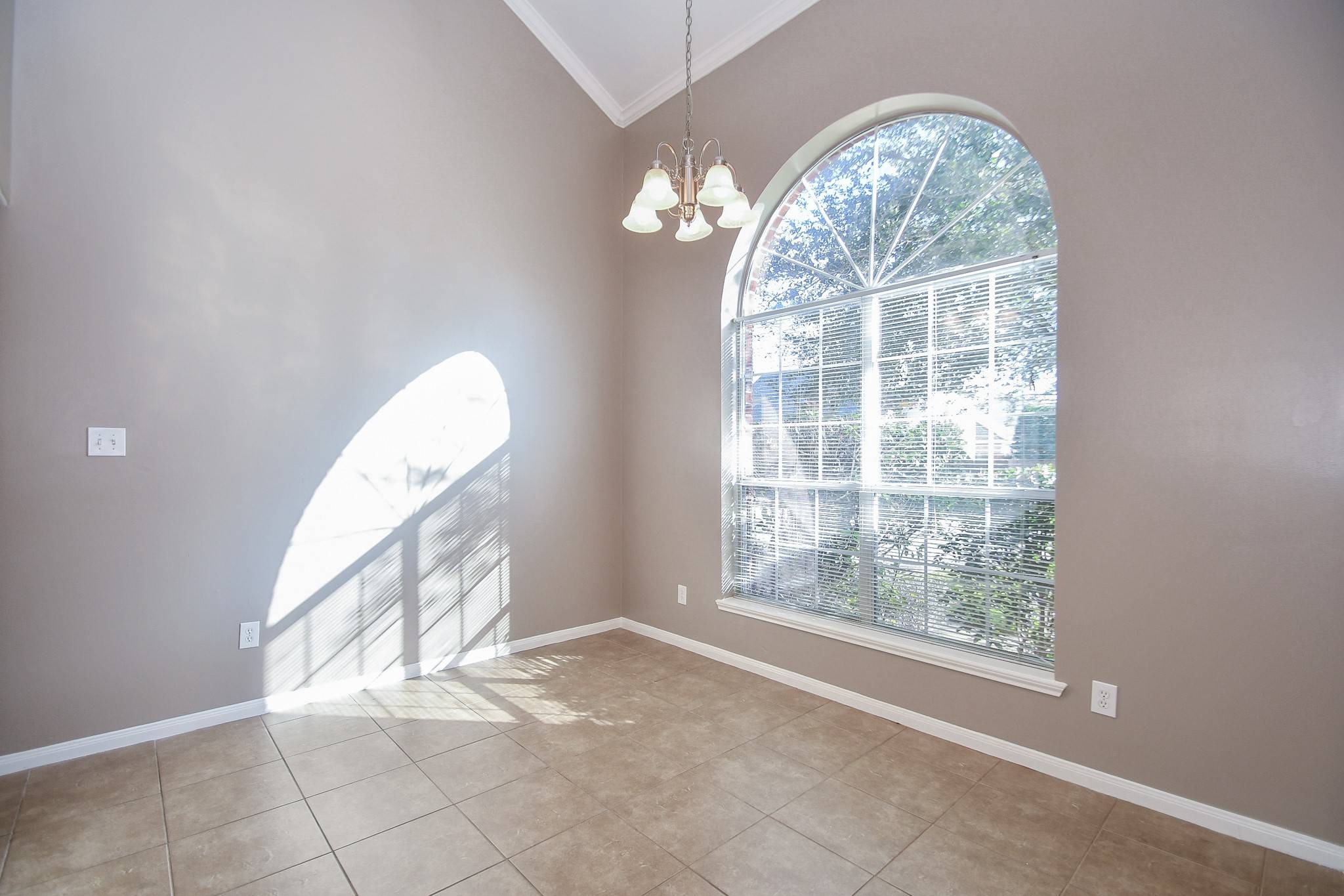 Sugar Land, TX 77498,16414 Pademelon DR