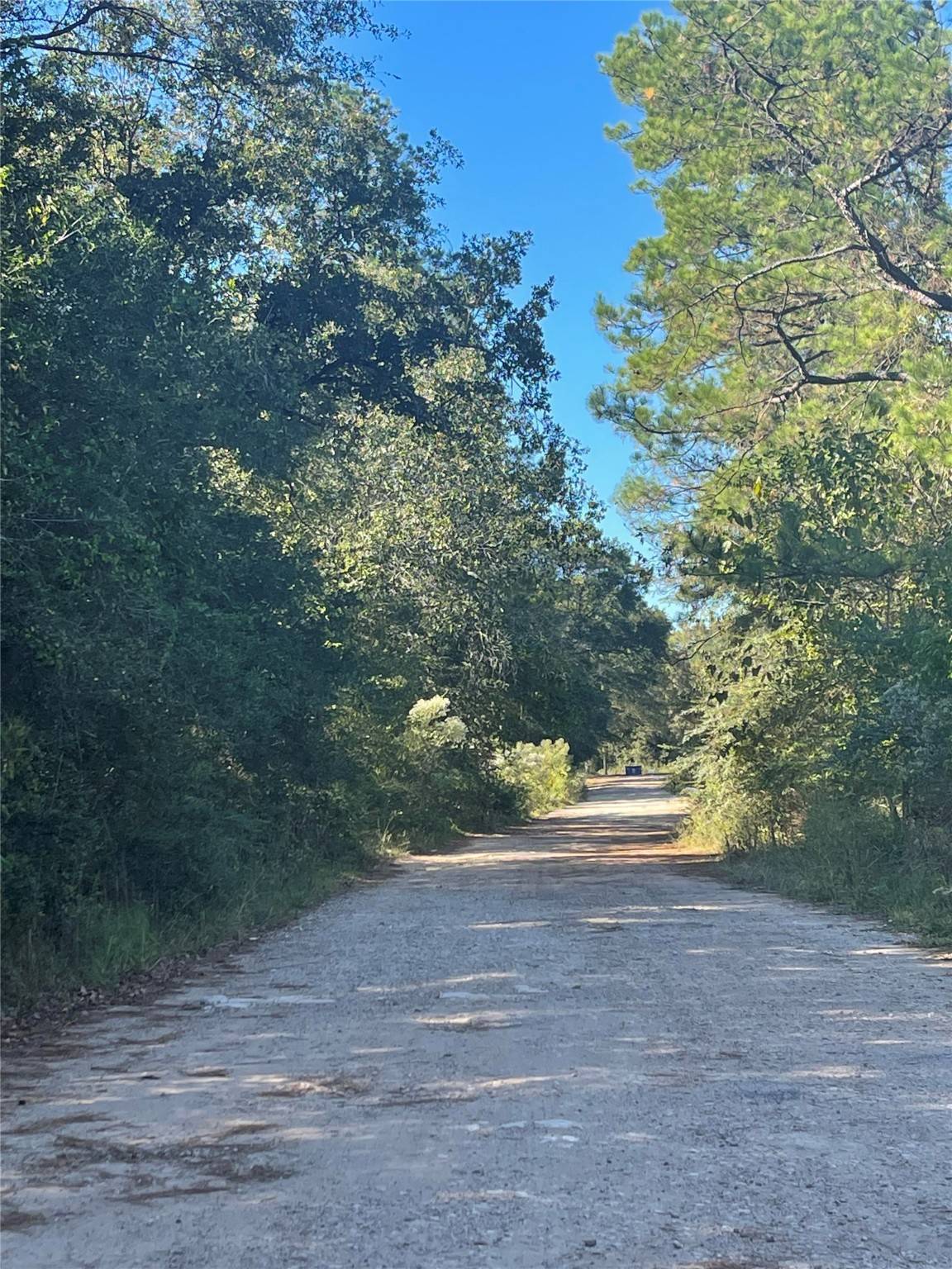 Humble, TX 77338,0 Le Conte LN