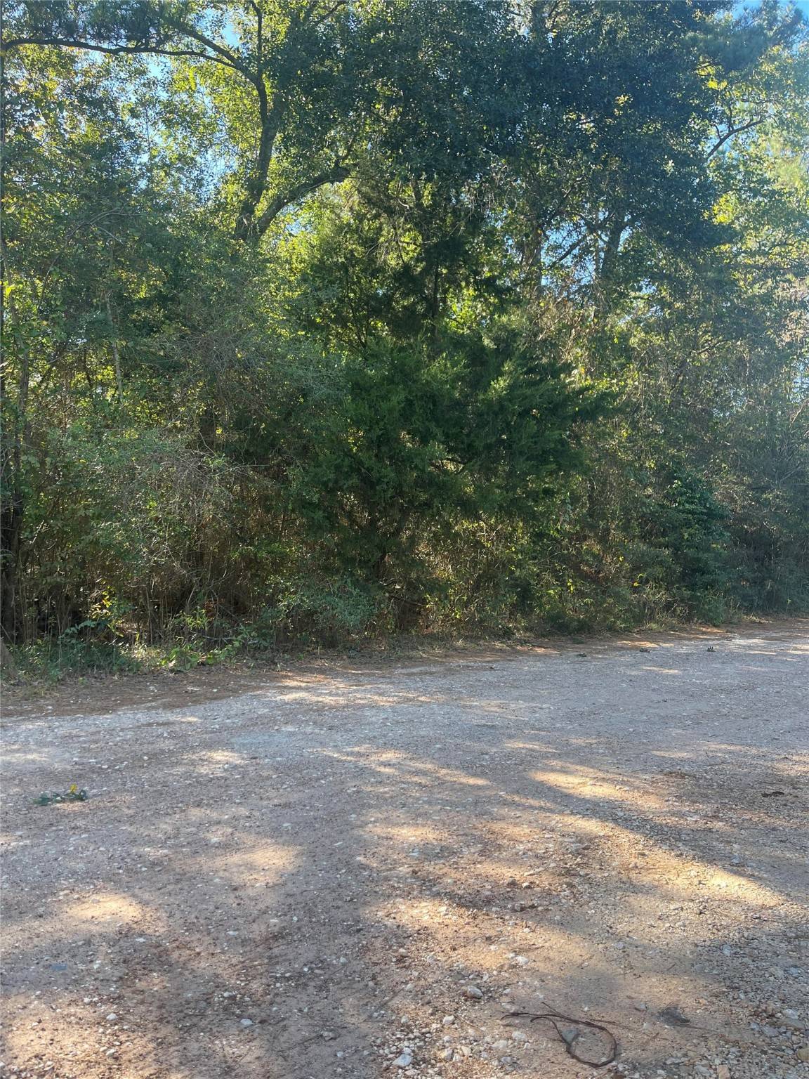 Humble, TX 77338,0 Le Conte LN