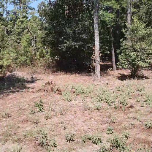 Hockley, TX 77447,25156 Robin Hood CT