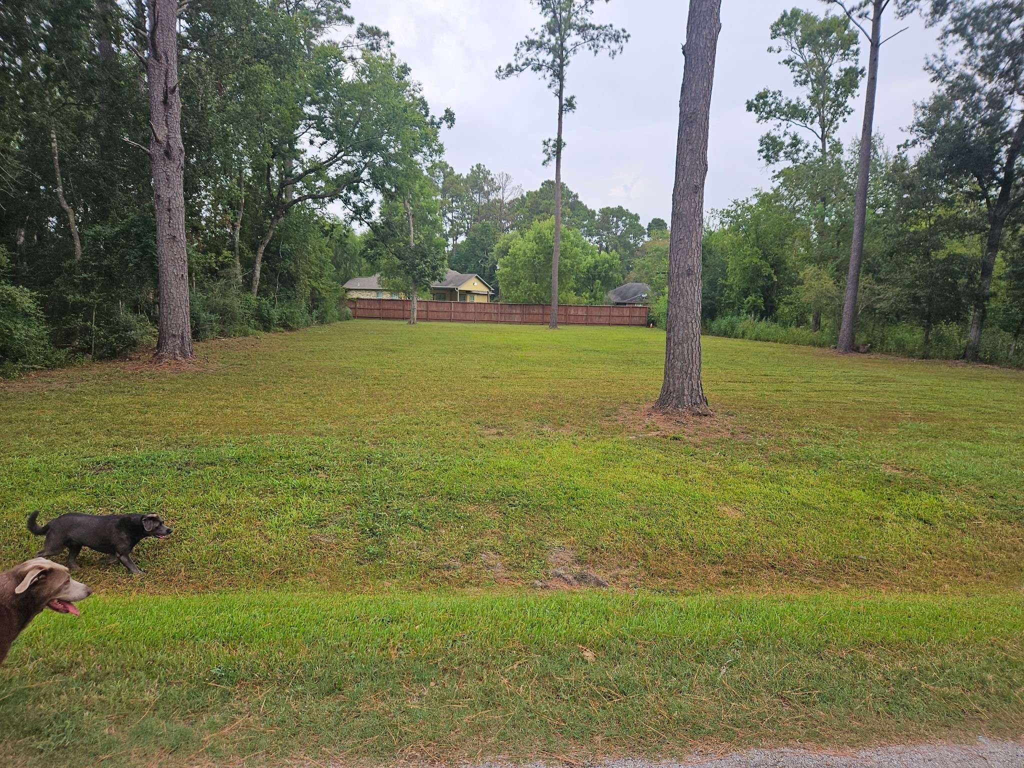 Huffman, TX 77336,2211 Hickory Manor DR