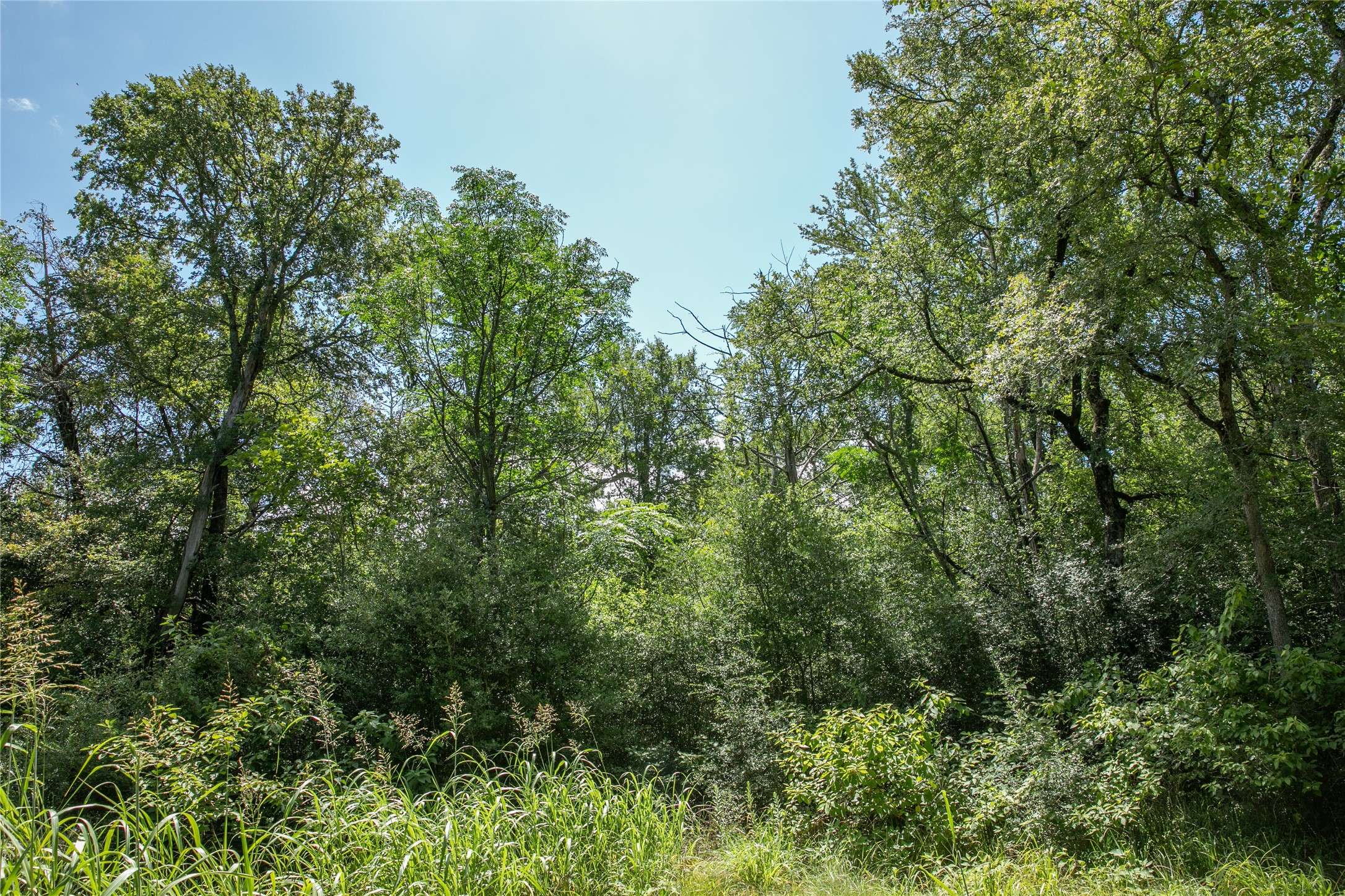 Burton, TX 77835,TBD FM 594