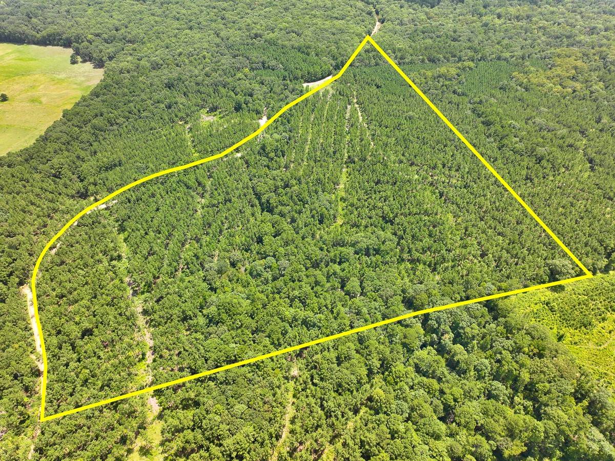 Zavalla, TX 75980,0 Slim Palmer Rd
