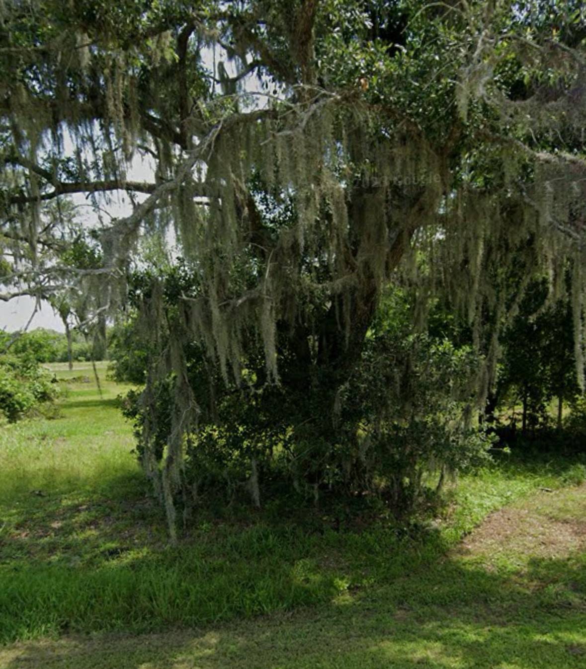 Angleton, TX 77515,0 Turning Bayou TRL