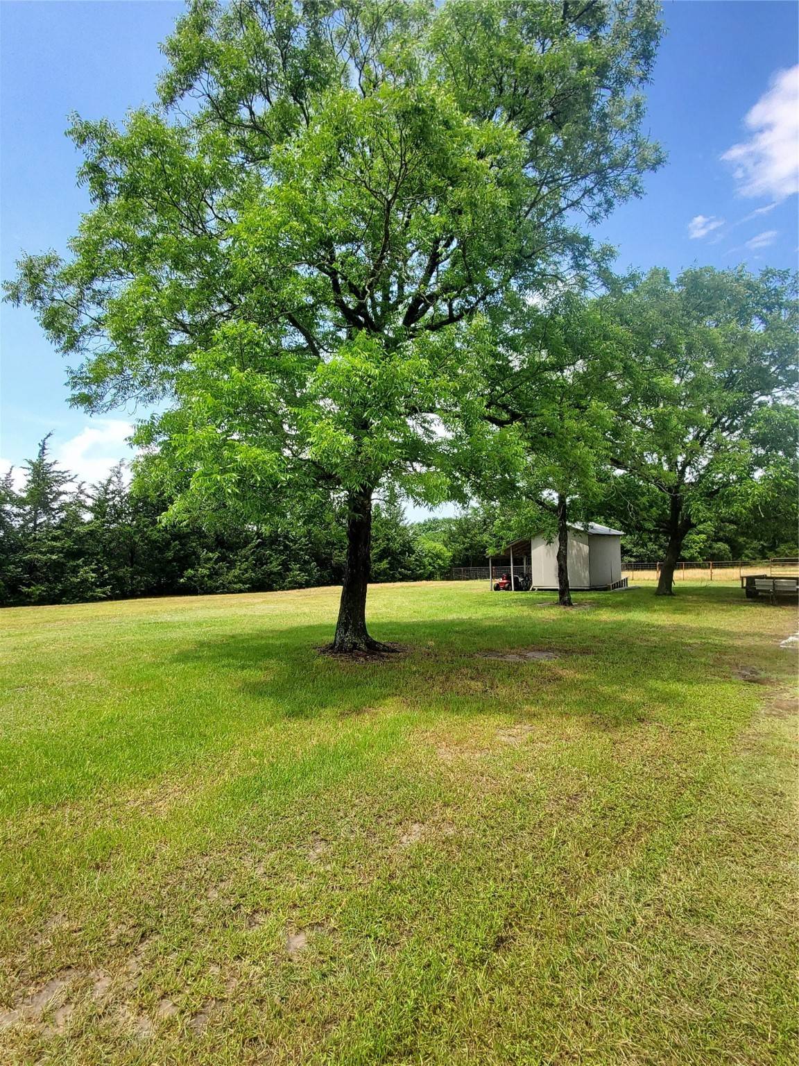 Brenham, TX 77833,95 Red Tip LN