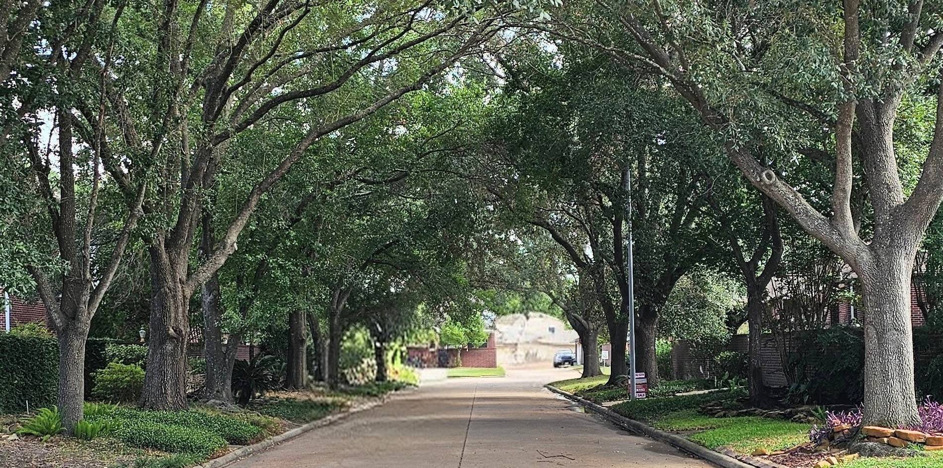 Houston, TX 77069,14319 Cashel Wood DR