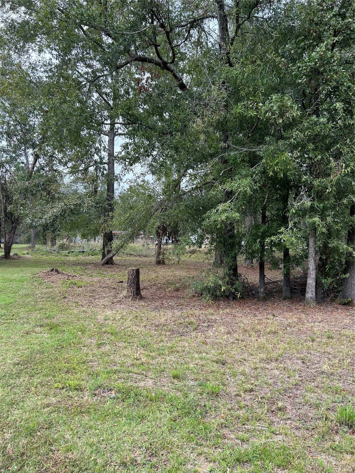 Point Blank, TX 77364,TBD Martineque LN