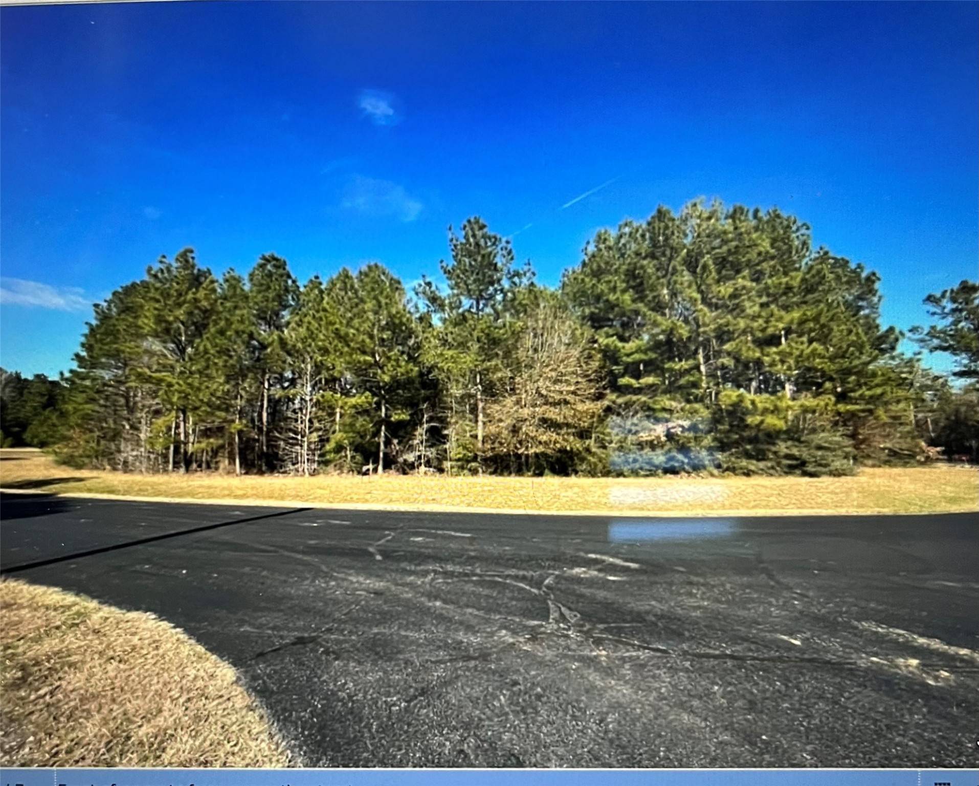 Waller, TX 77484,26800 Carriage CT