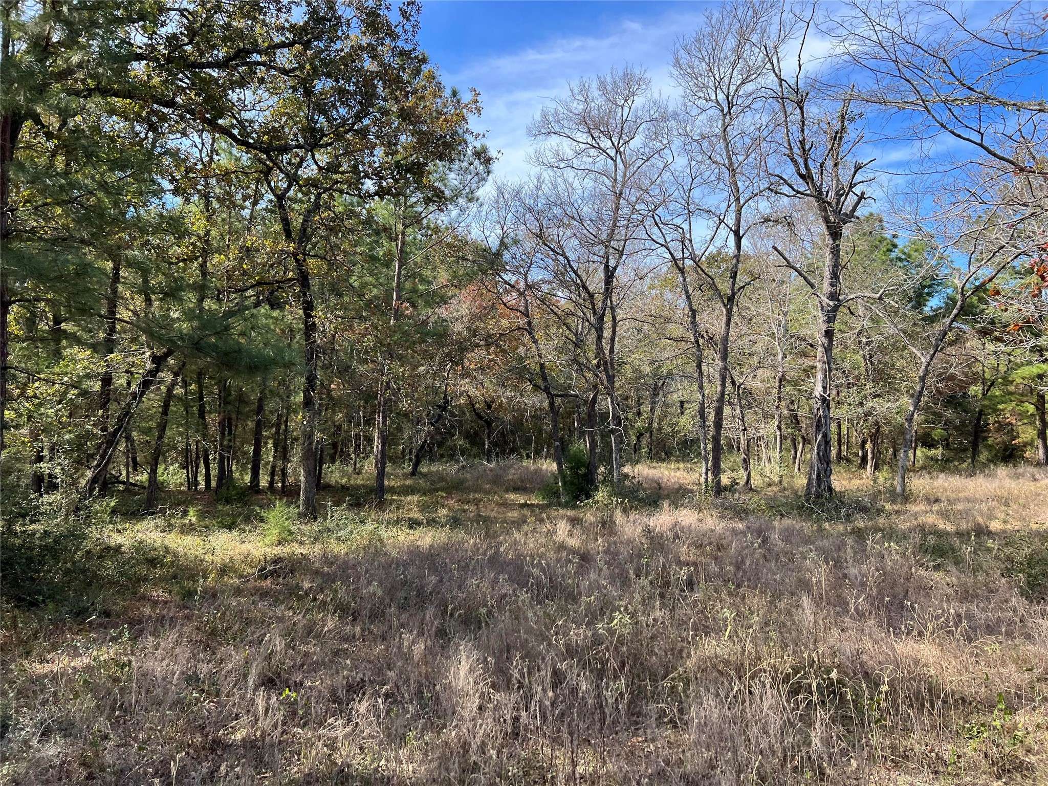 Navasota, TX 77868,0 County Road 446