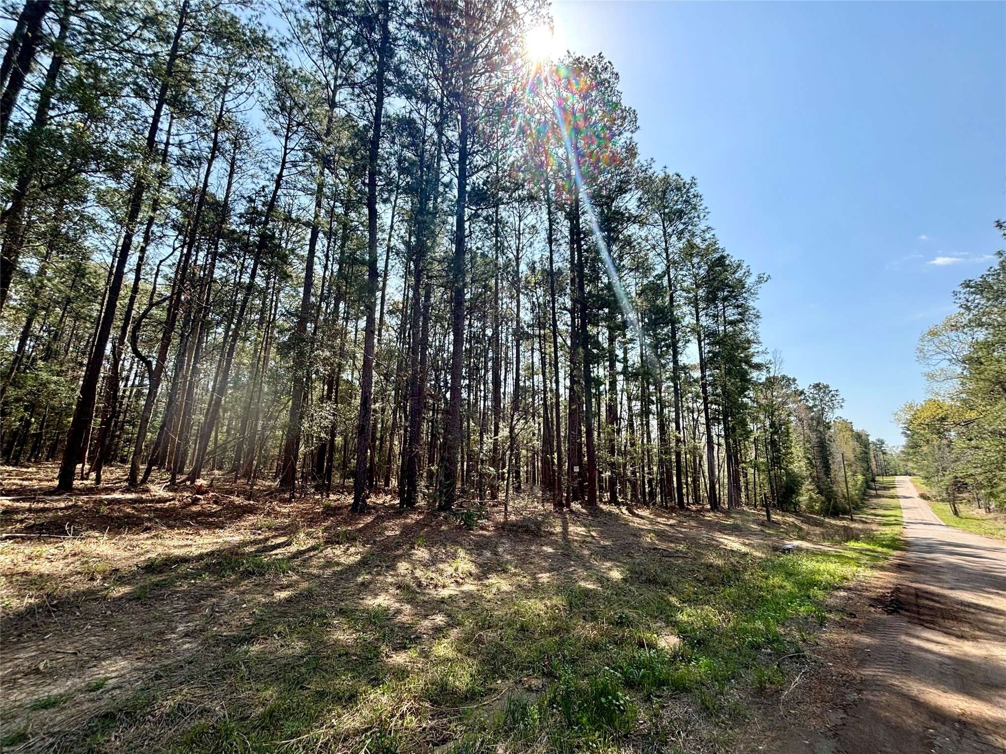Colmesneil, TX 75938,751 County Road 3240