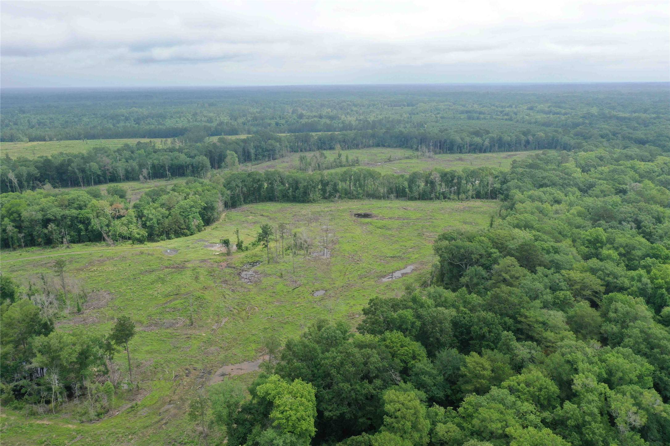 Carthage, TX 75633,TBD CR 449- Socagee Creek RD