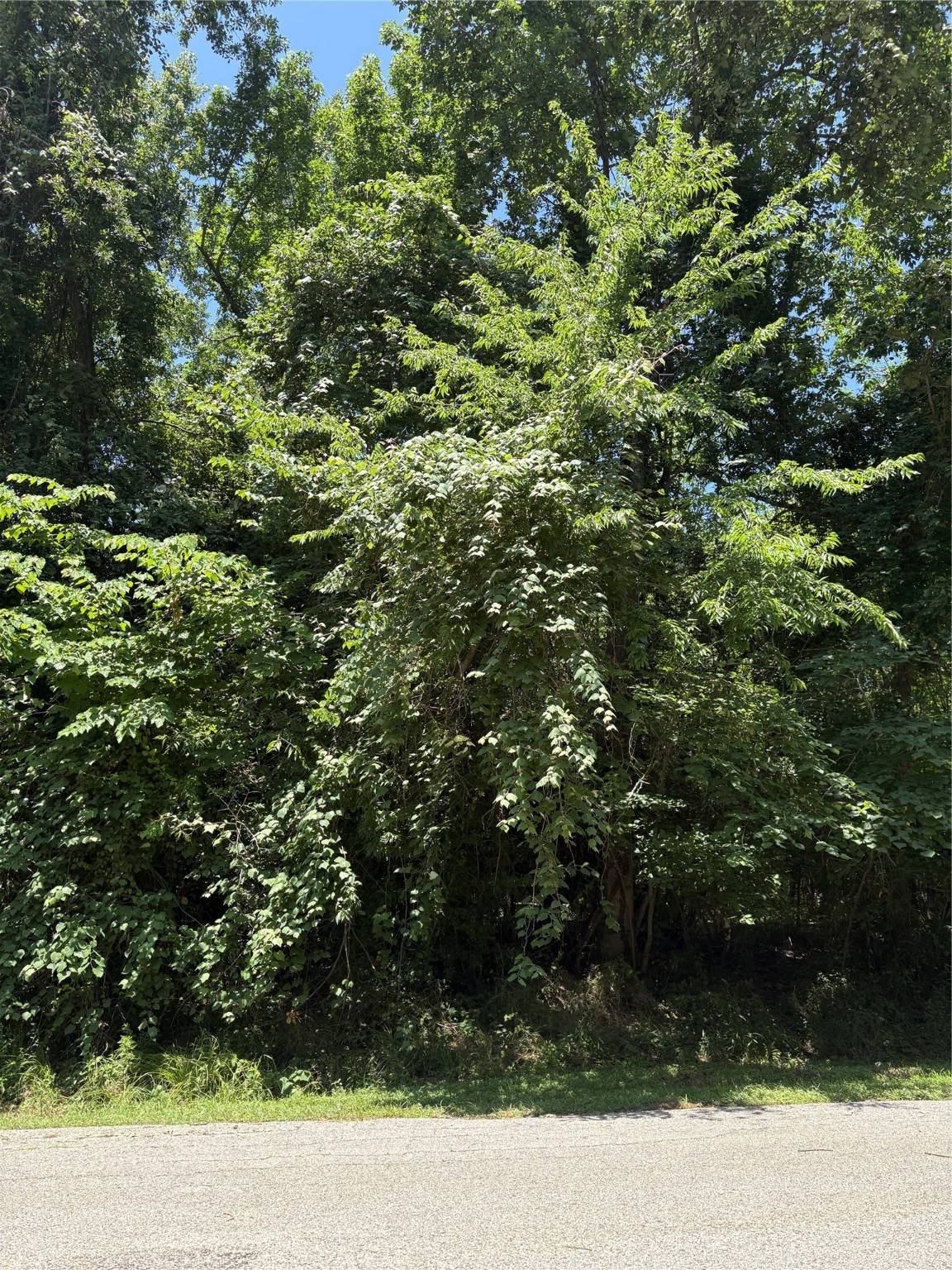 Onalaska, TX 77360,TBD Lake DR