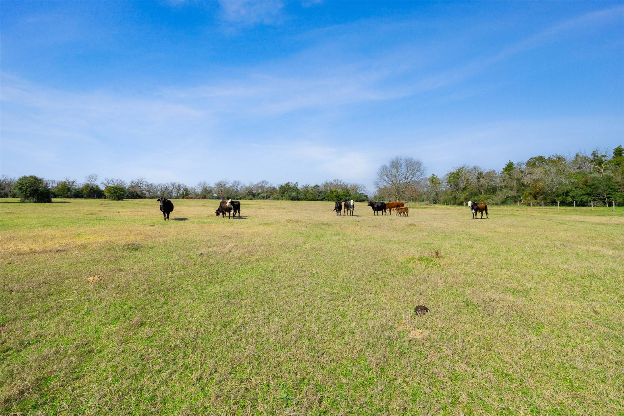 Caldwell, TX 77836,6804 County Road 126