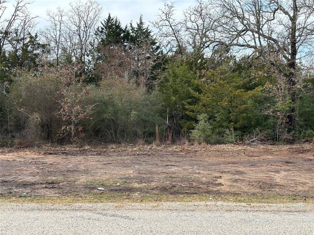 Bastrop, TX 78602,Lot 64 Shadow Oaks DR