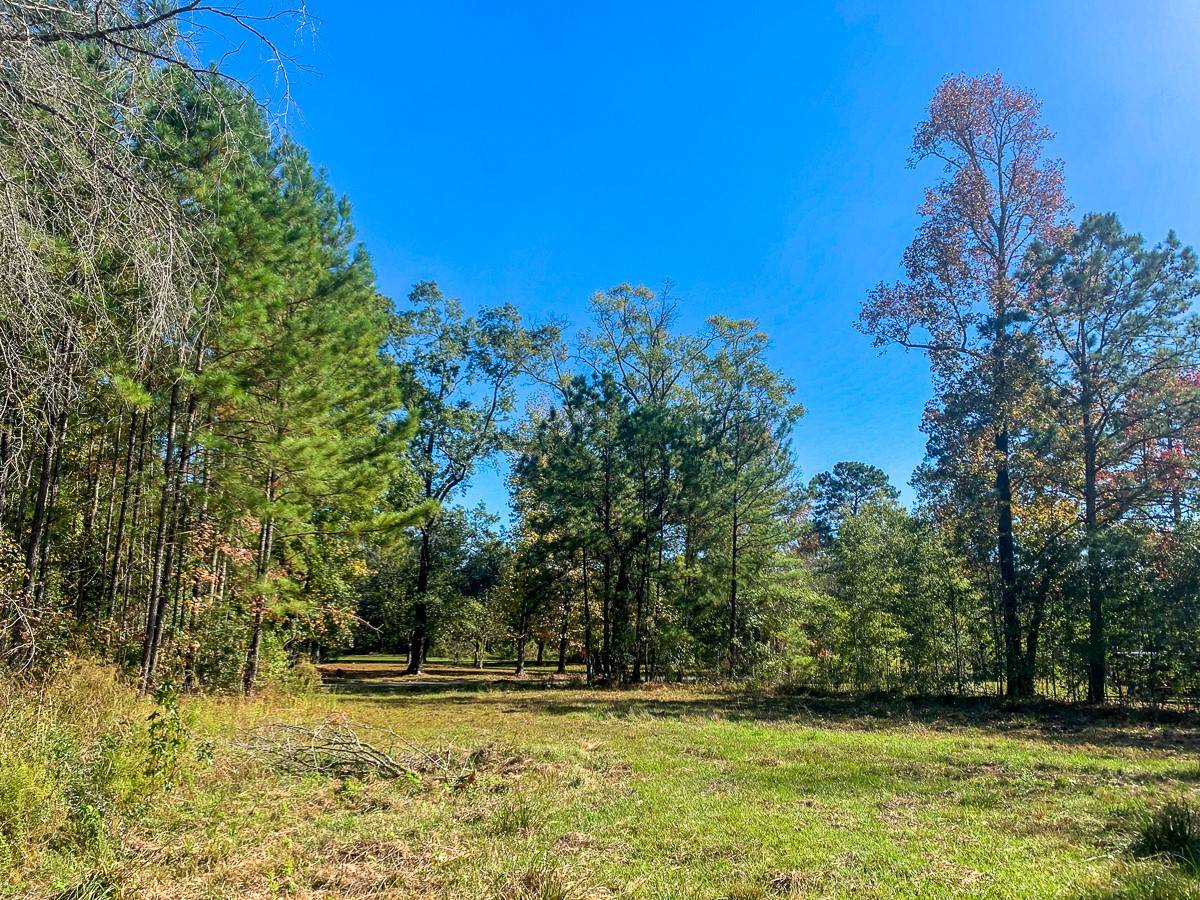 Lumberton, TX 77657,0 Alma Drive