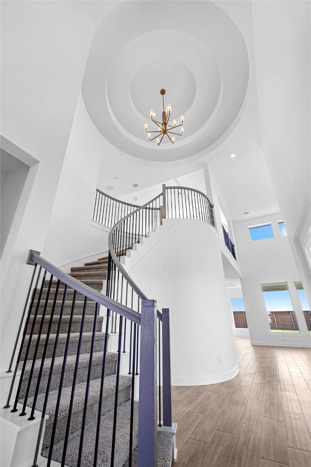 Hockley, TX 77447,16254 Blue Mistflower LN