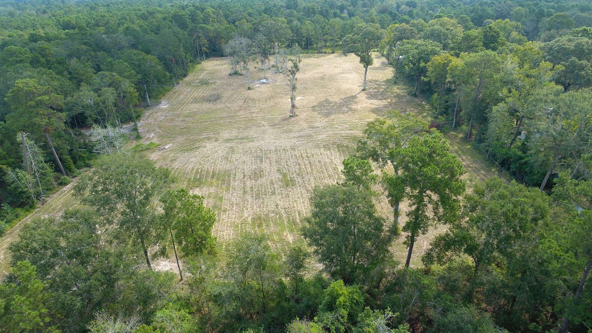 Conroe, TX 77032,12075 COON HOLLOW RD