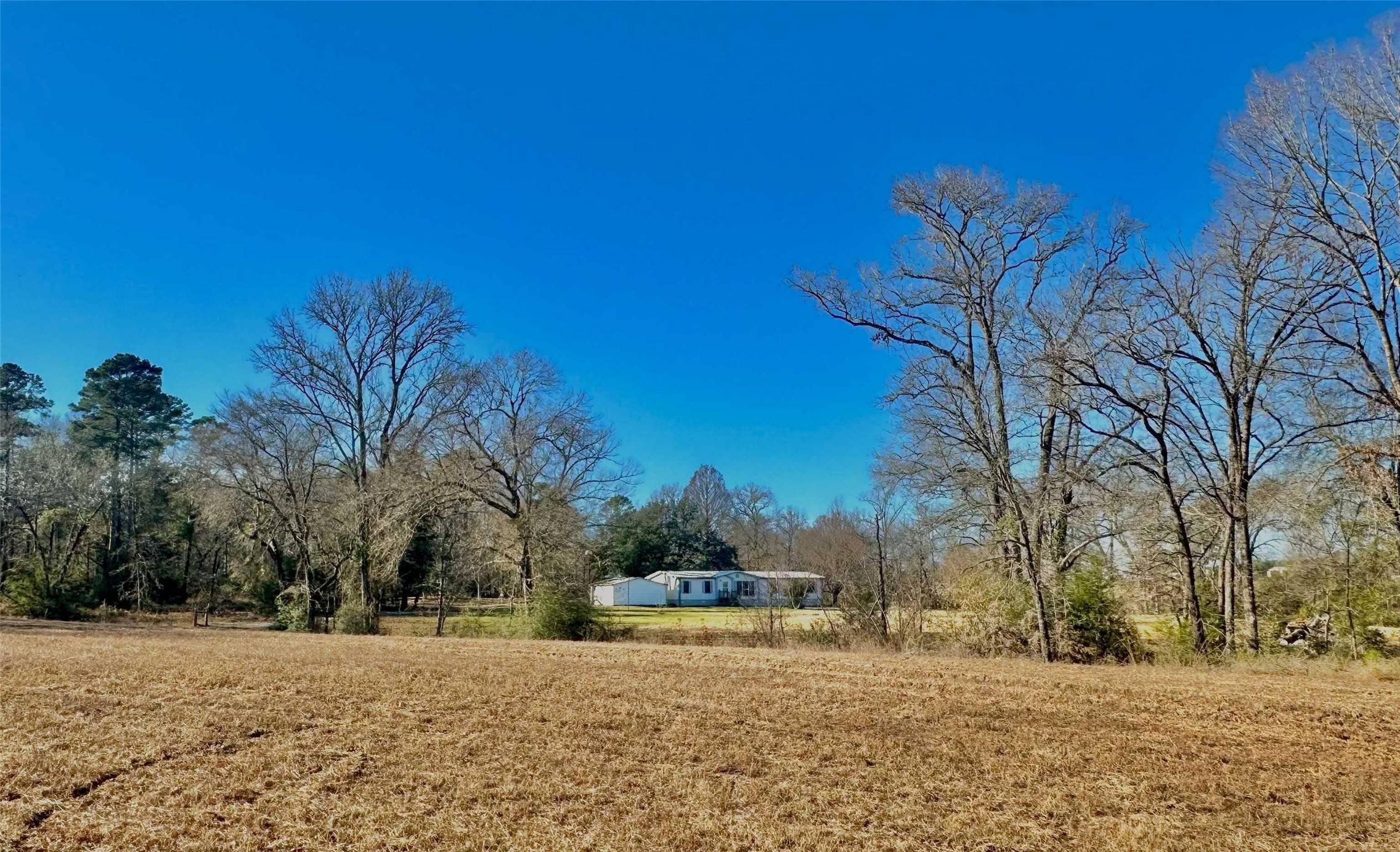 Elkhart, TX 75839,1029 An County Road 185