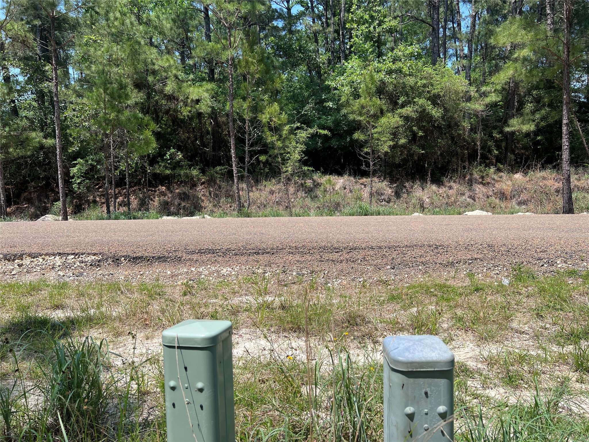 Onalaska, TX 77360,TBD E Moonlight DR